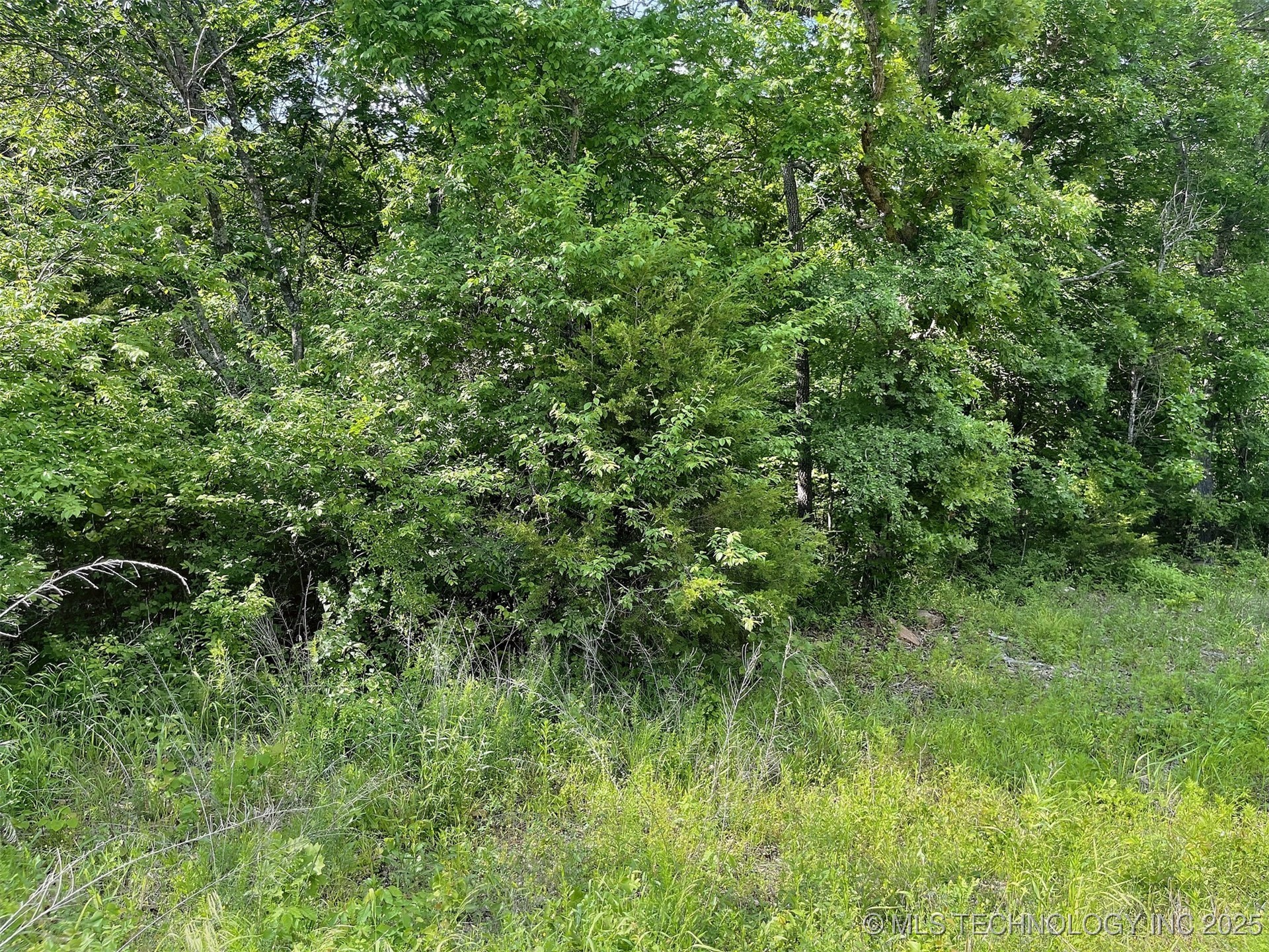 S Hickory Lane Property Photo 5