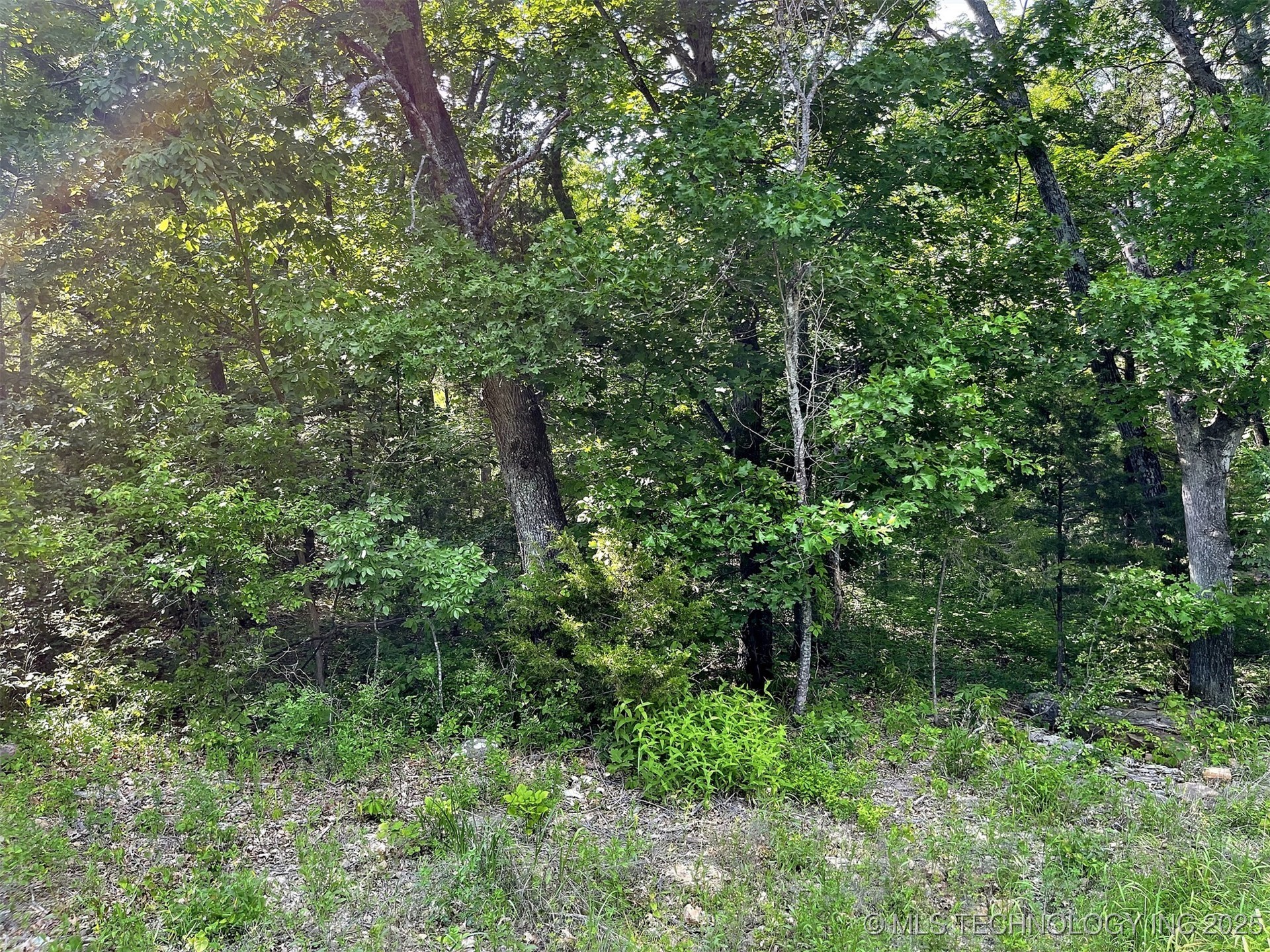 S Hickory Lane Property Photo 6