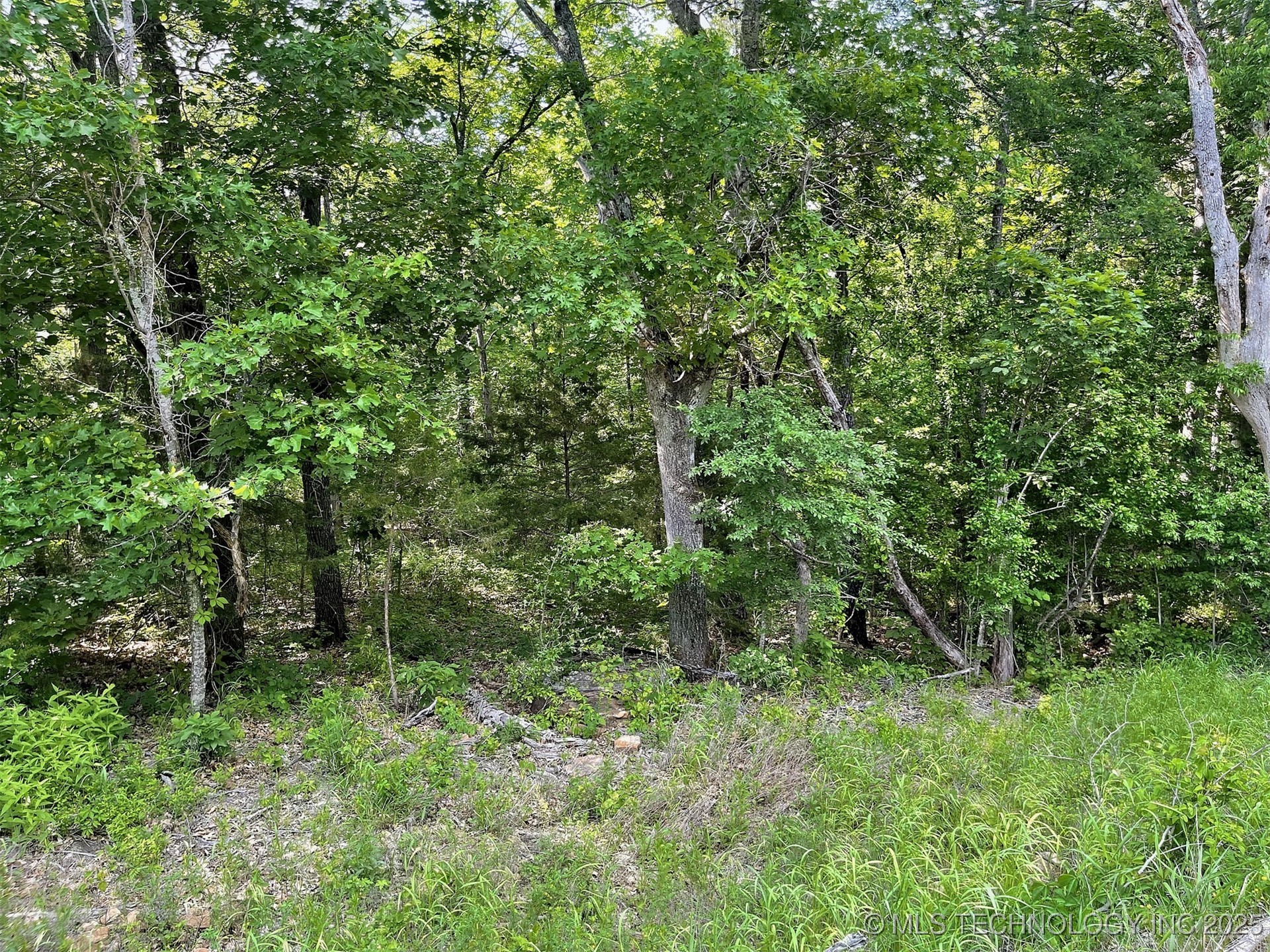 S Hickory Lane Property Photo 7