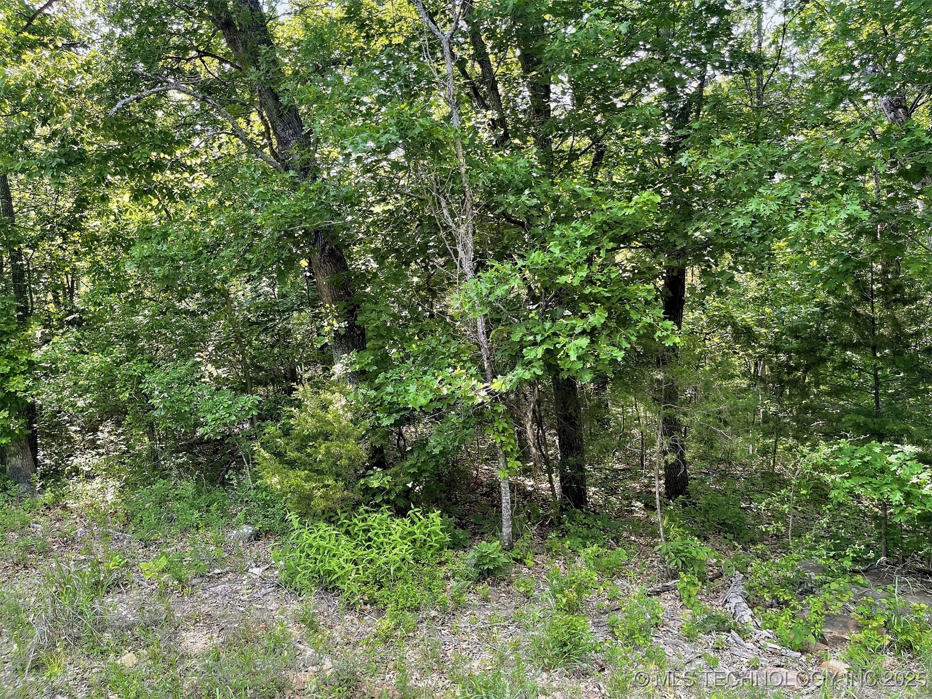 S Hickory Lane Property Photo 10