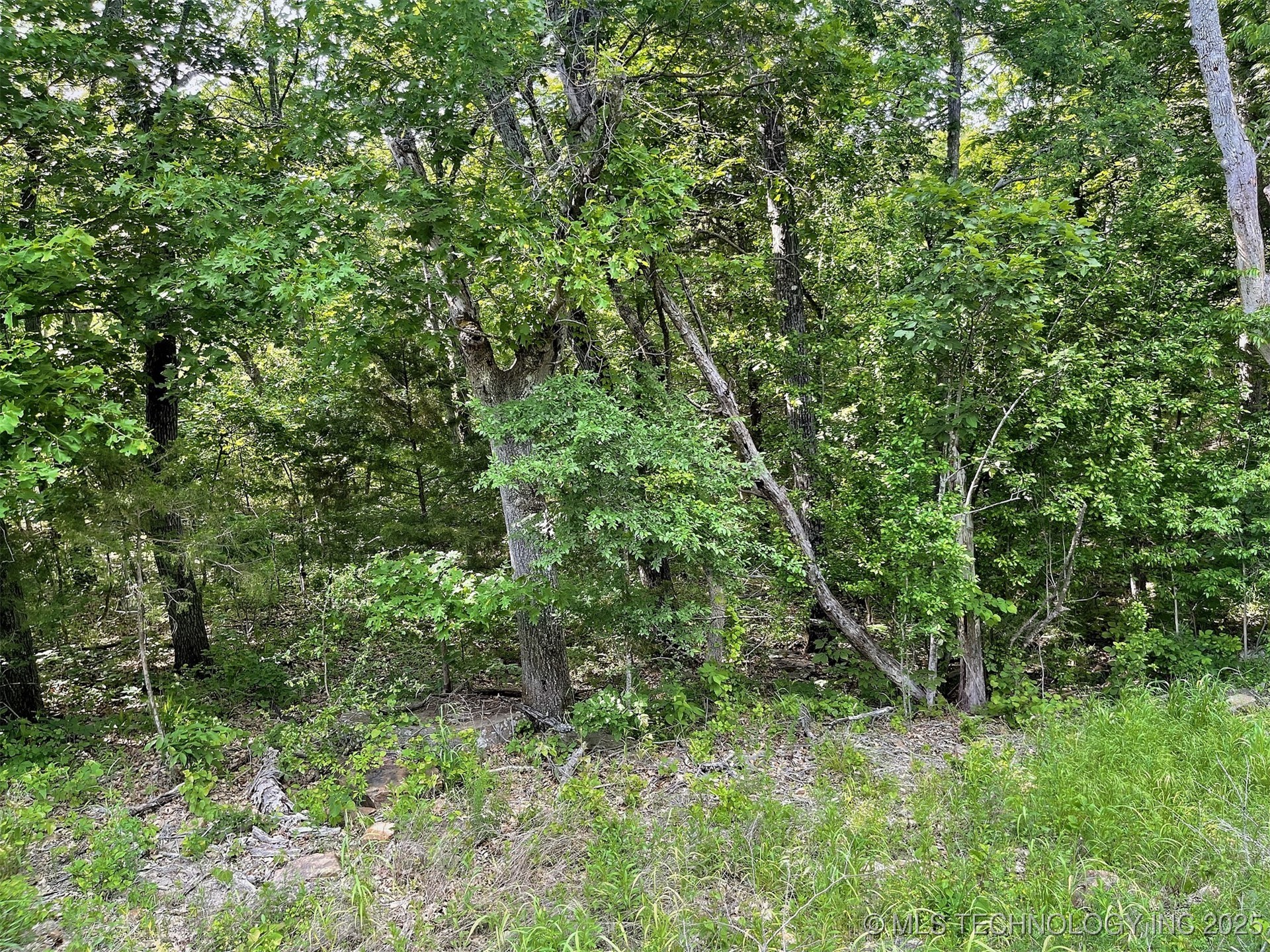 S Hickory Lane Property Photo 11