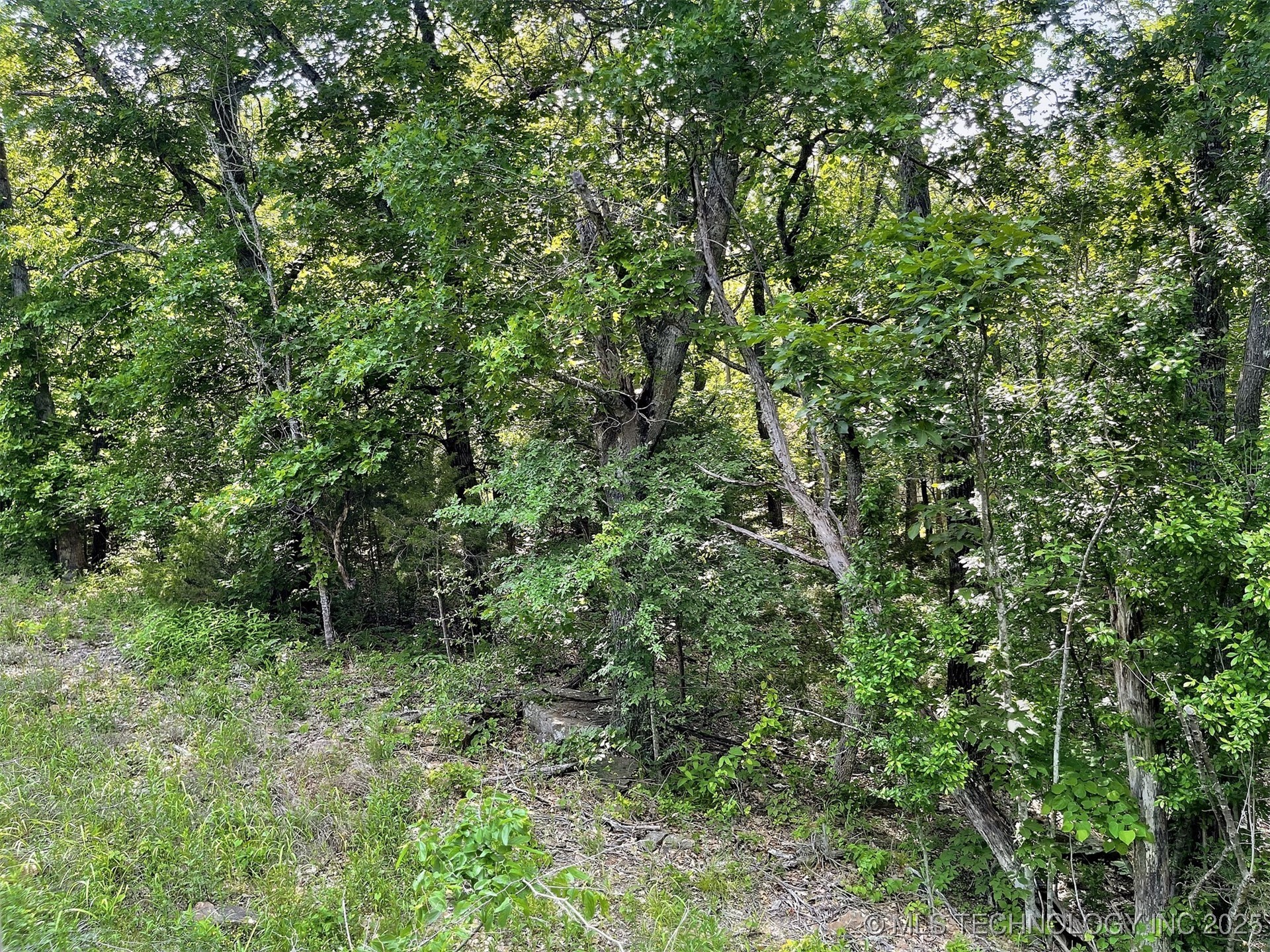 S Hickory Lane Property Photo 12