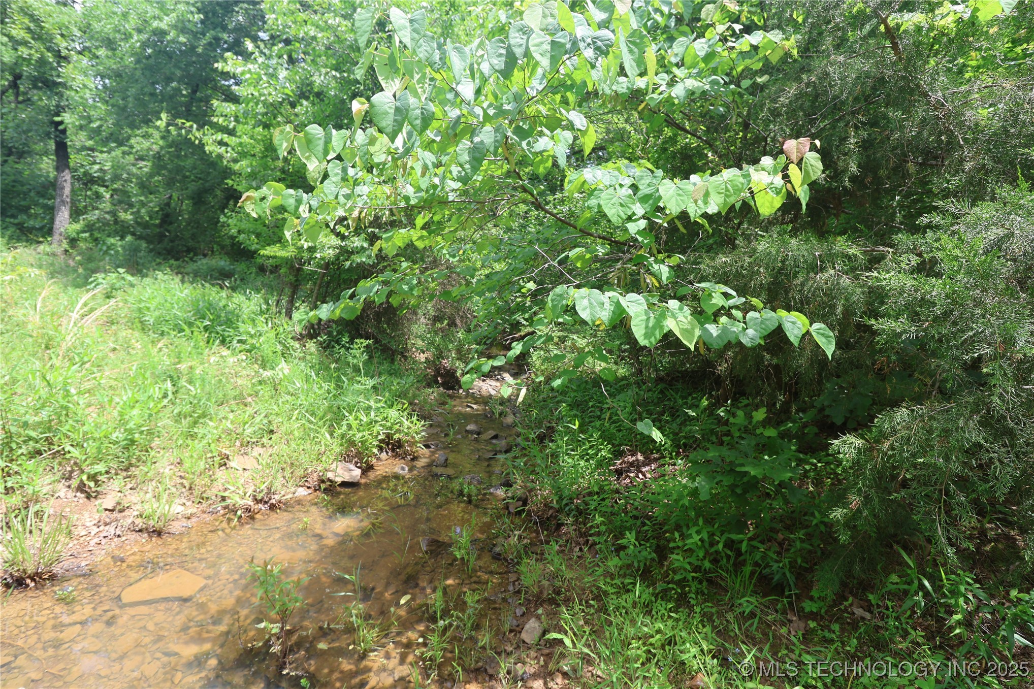 State Hwy 31 Property Photo 9