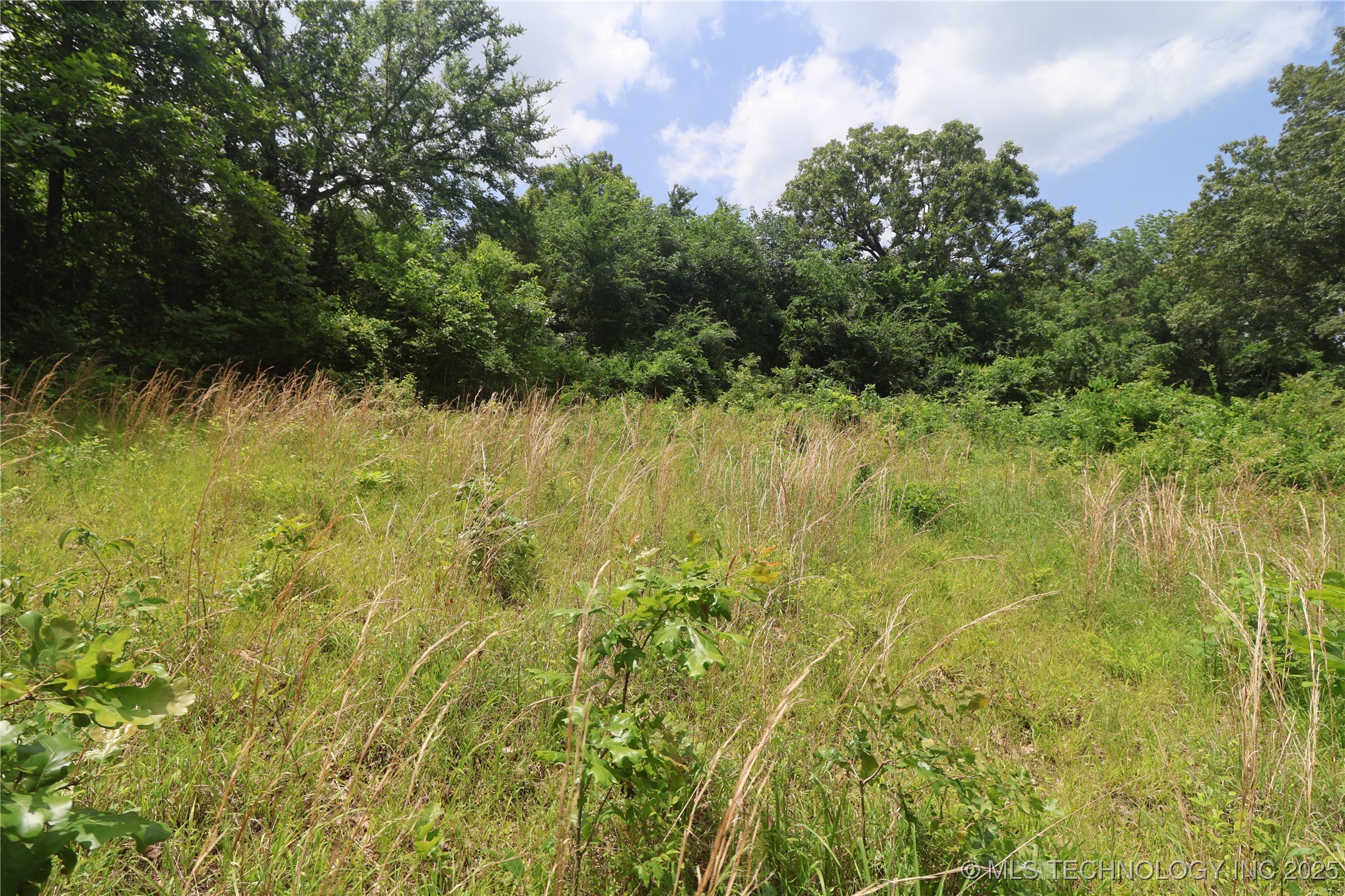 State Hwy 31 Property Photo 11