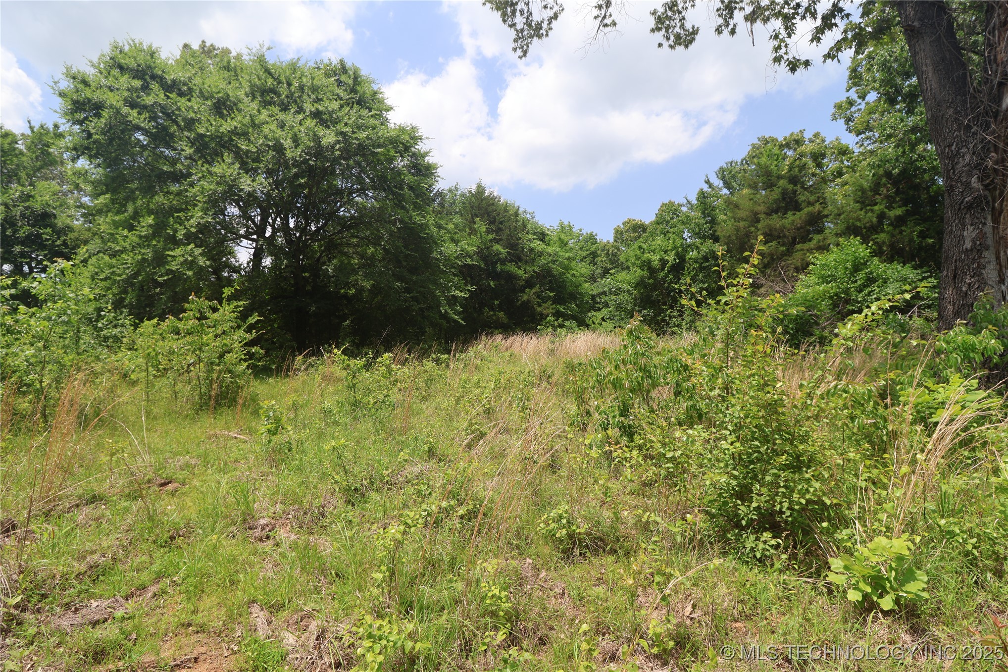 State Hwy 31 Property Photo 12