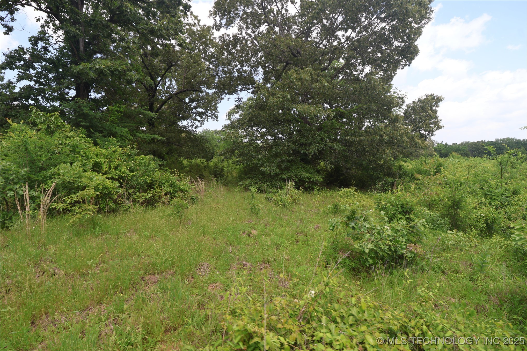 State Hwy 31 Property Photo 13