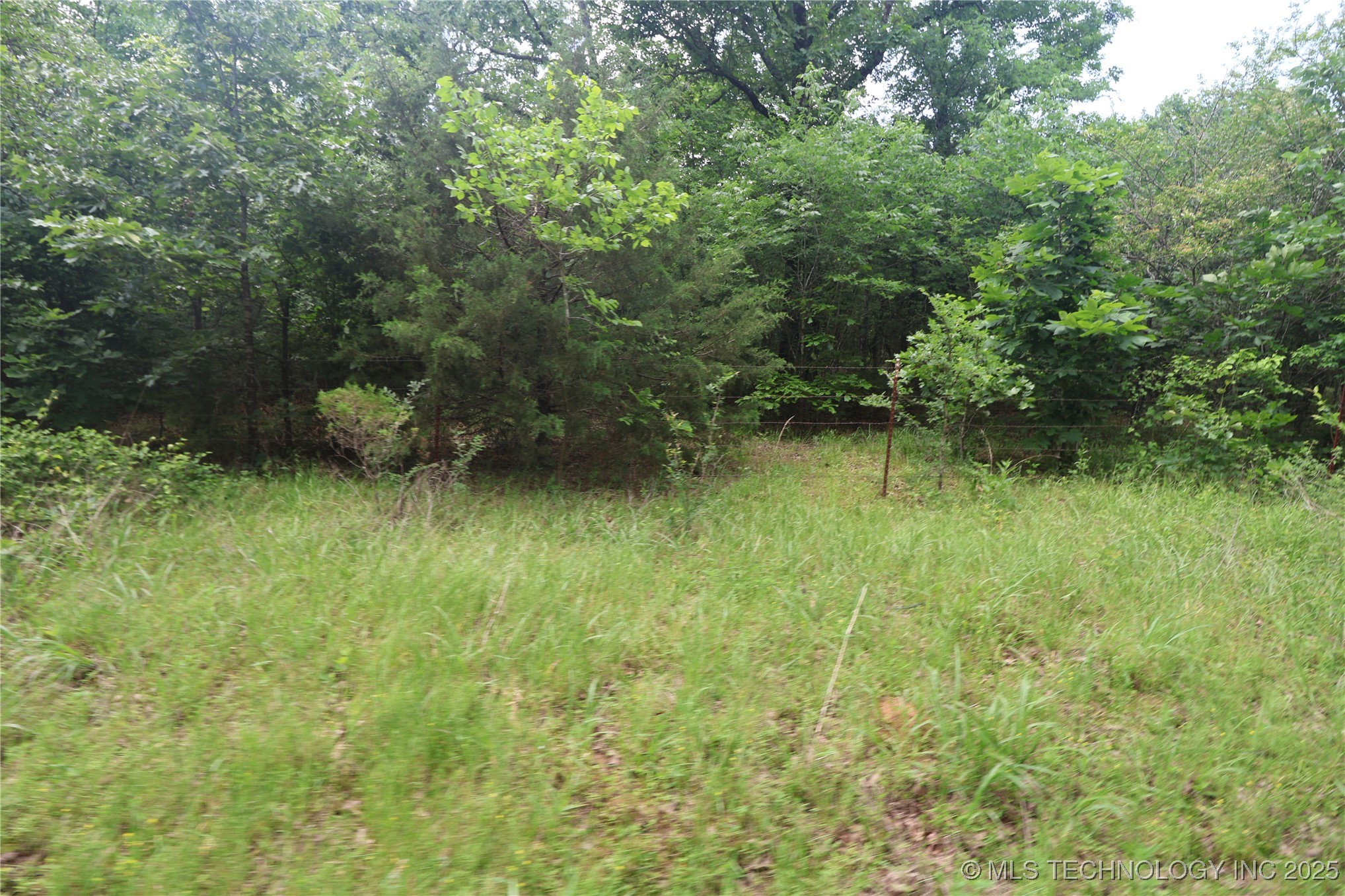 State Hwy 31 Property Photo 14