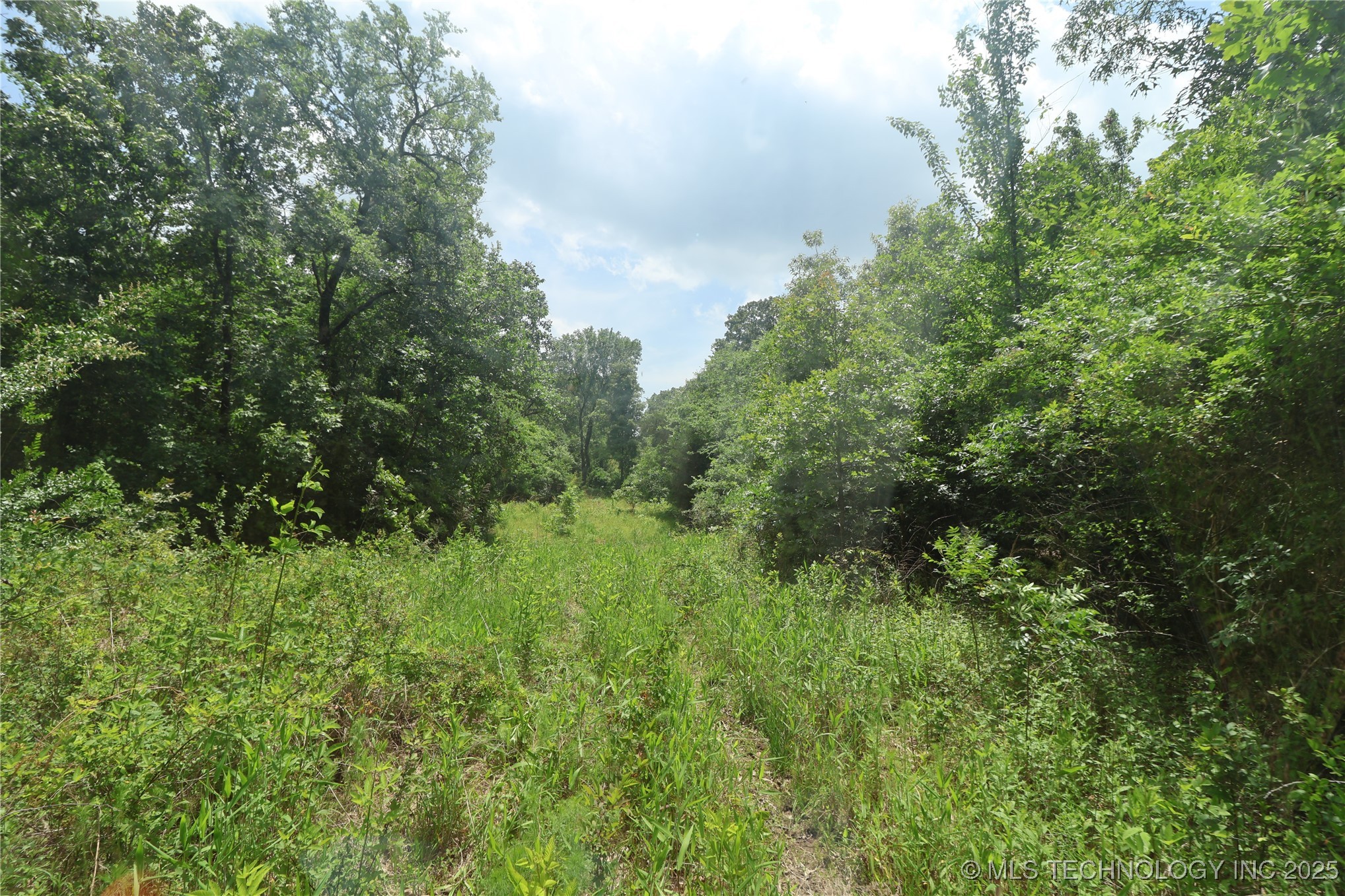 State Hwy 31 Property Photo 16