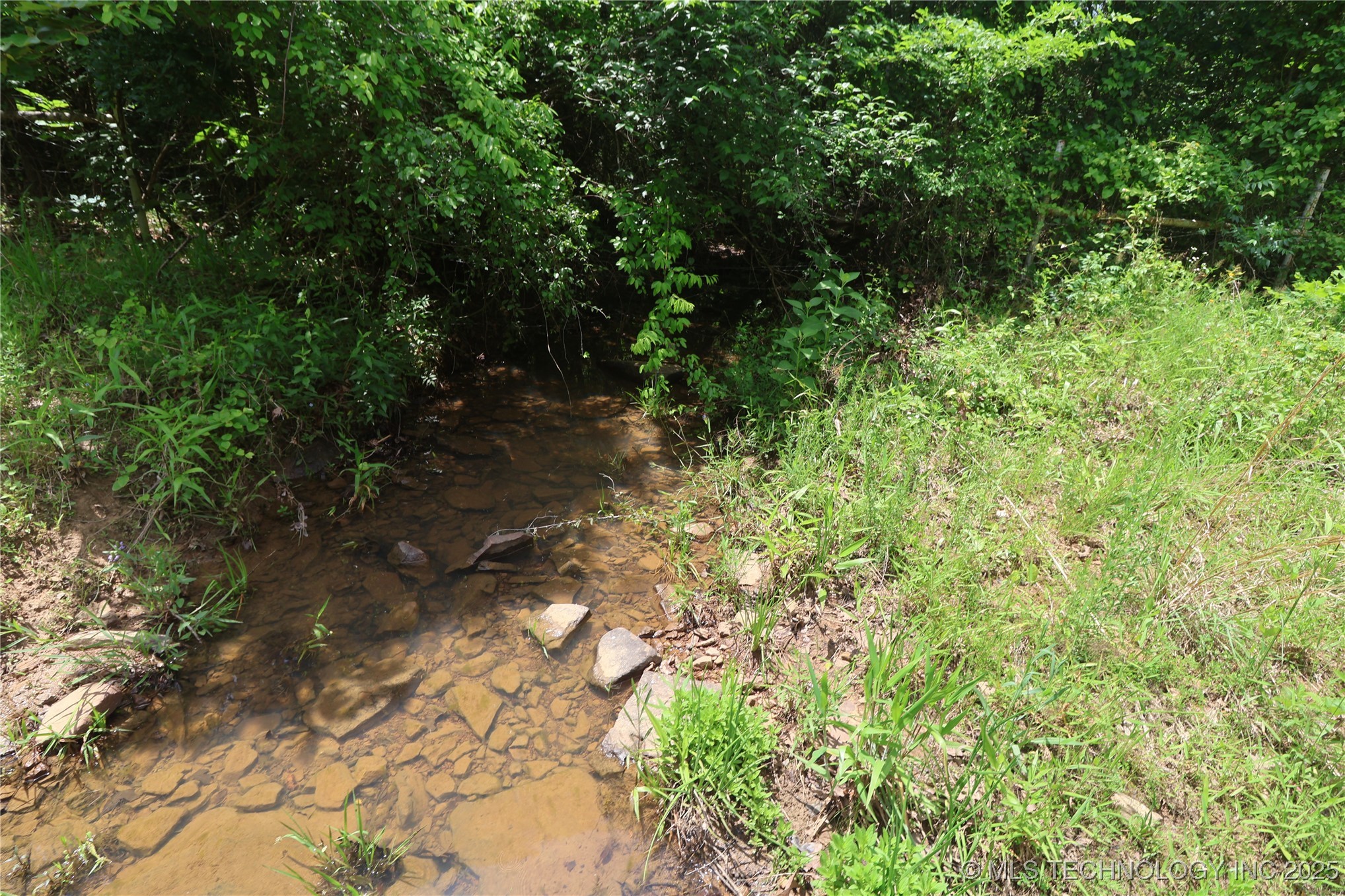 State Hwy 31 Property Photo 17