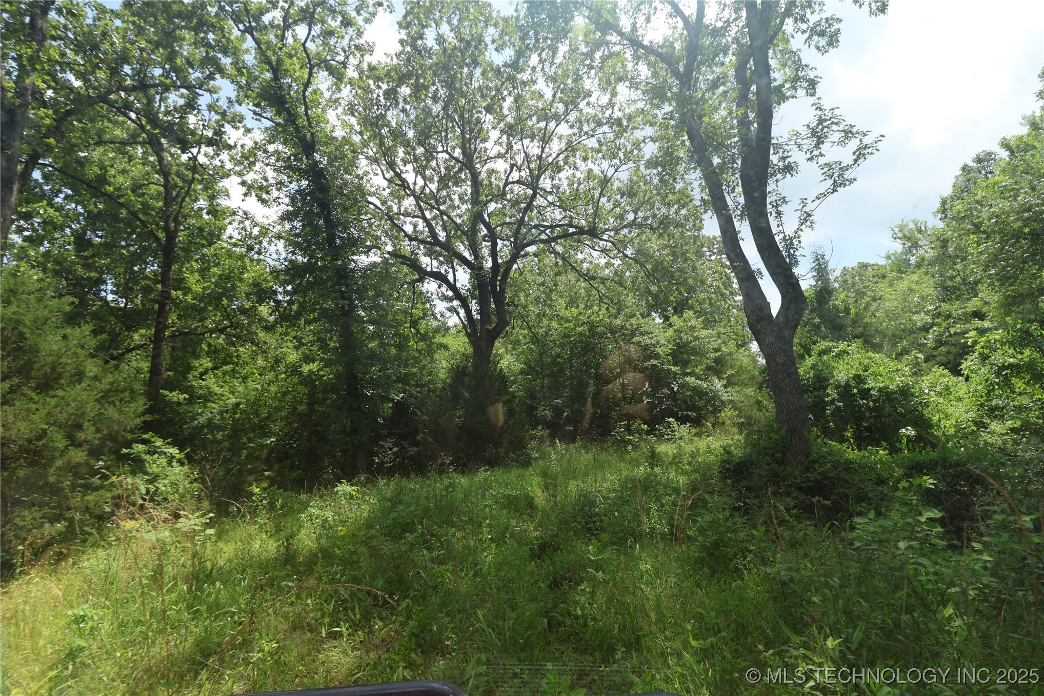 State Hwy 31 Property Photo 18