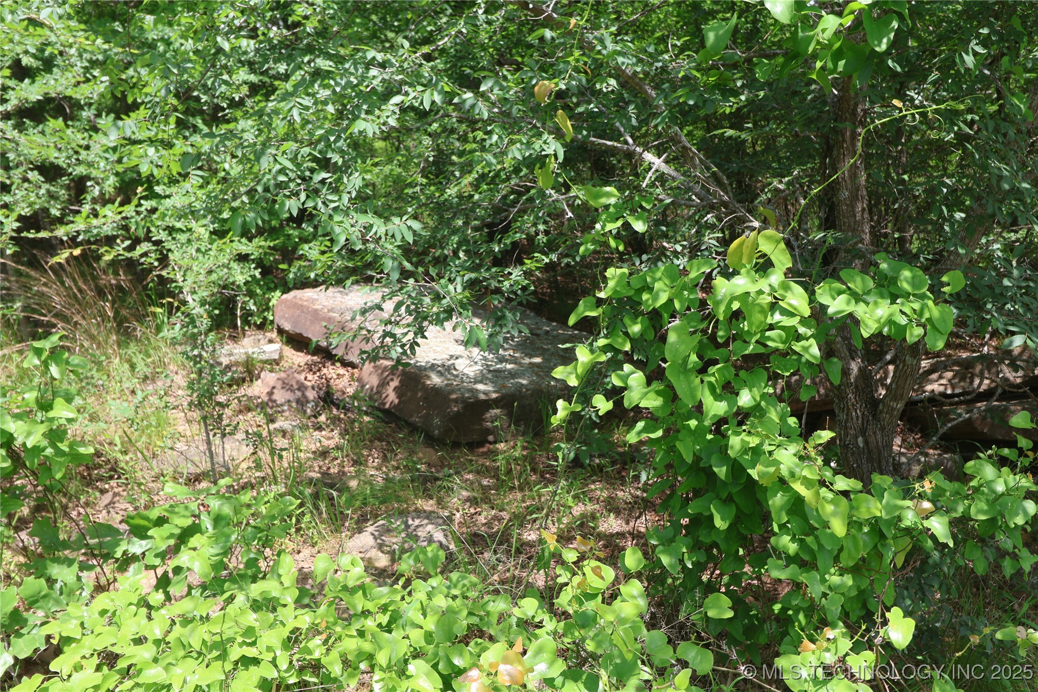 State Hwy 31 Property Photo 20