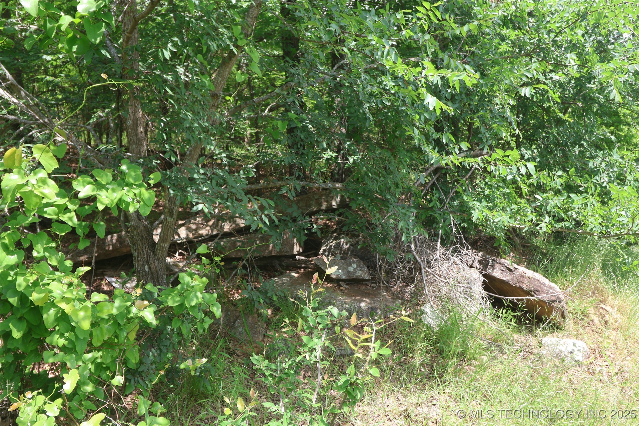 State Hwy 31 Property Photo 21