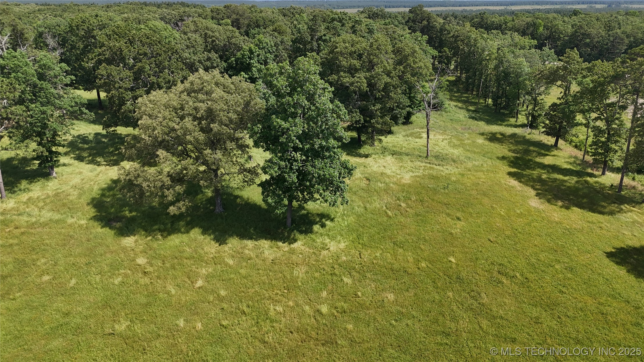 175 Johnson Road Property Photo 13