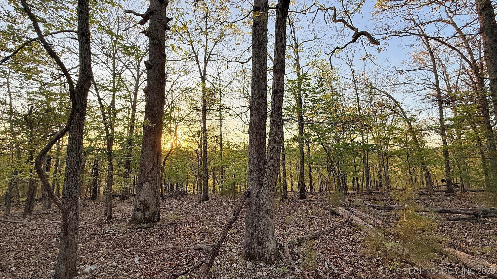 2345 Overlook Drive Property Photo 1