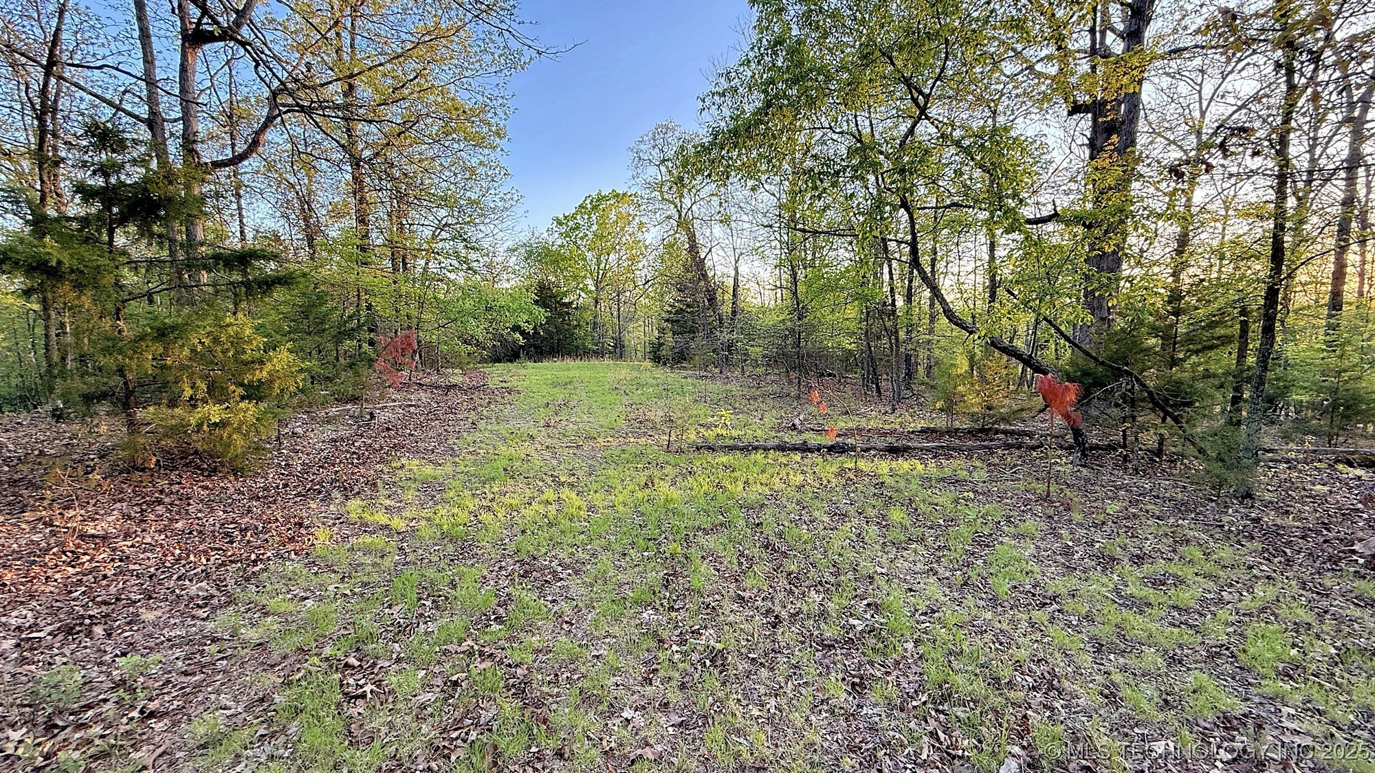 2345 Overlook Drive Property Photo 2