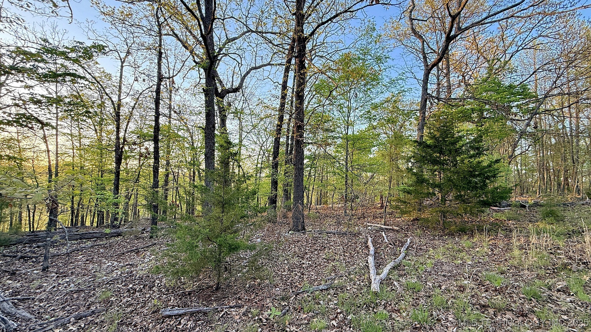 2345 Overlook Drive Property Photo 3