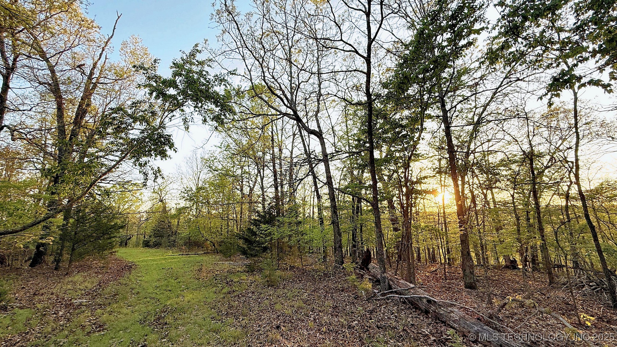 2345 Overlook Drive Property Photo 4