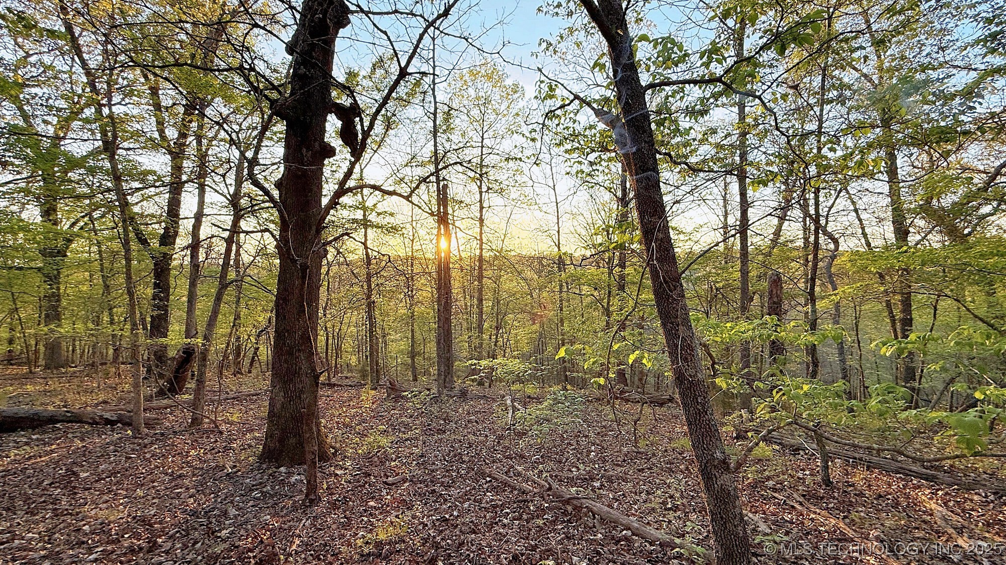 2345 Overlook Drive Property Photo 5