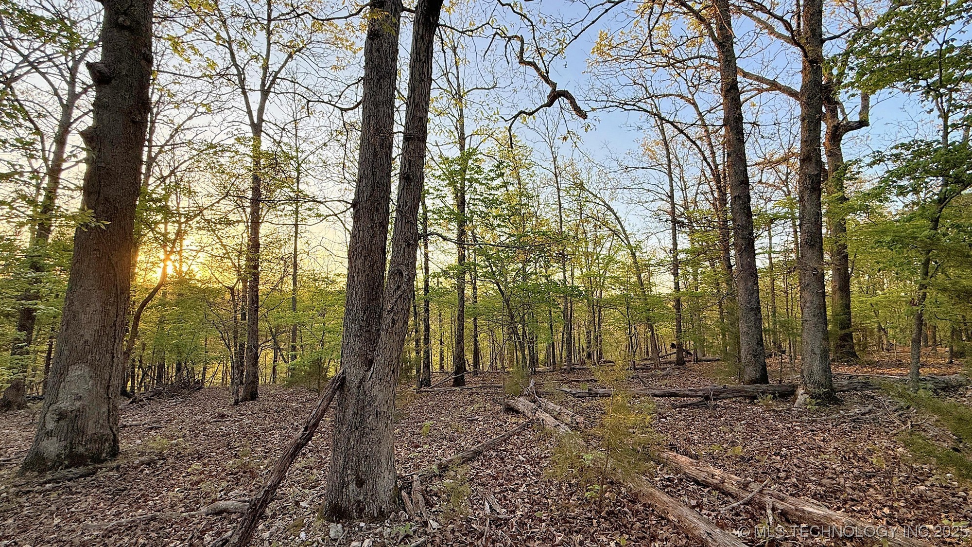 2345 Overlook Drive Property Photo 6