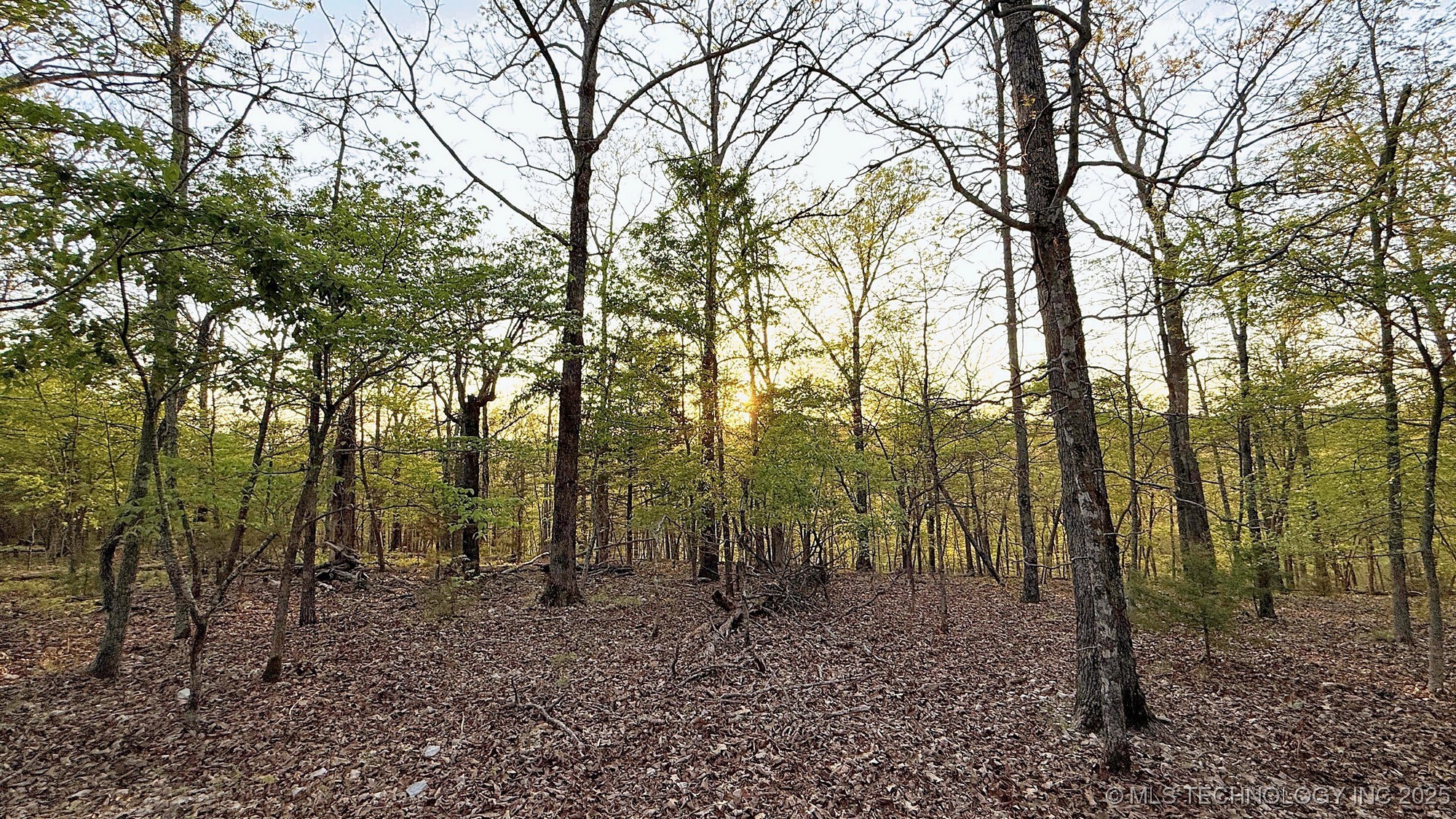 2345 Overlook Drive Property Photo 7