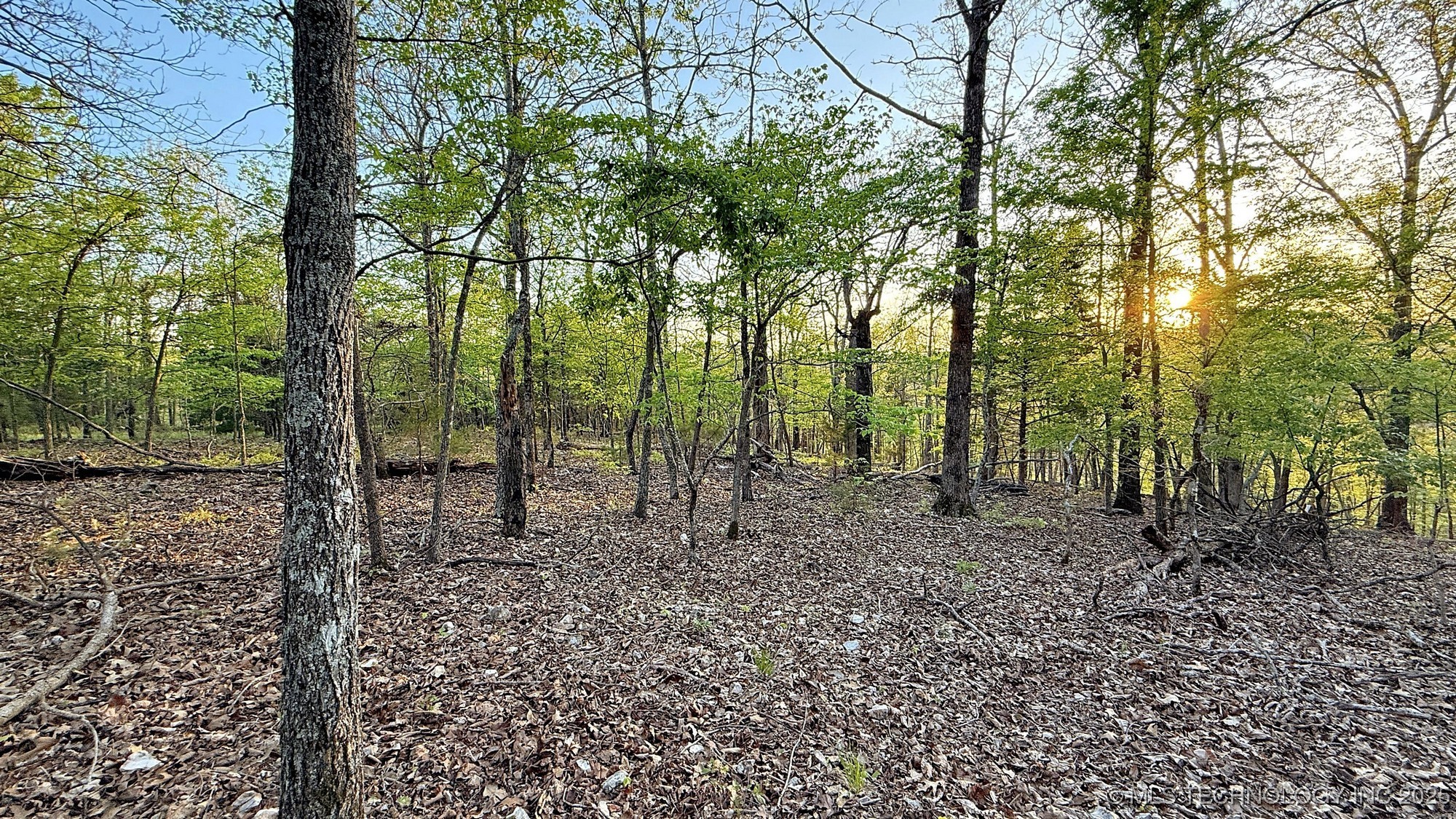 2345 Overlook Drive Property Photo 8