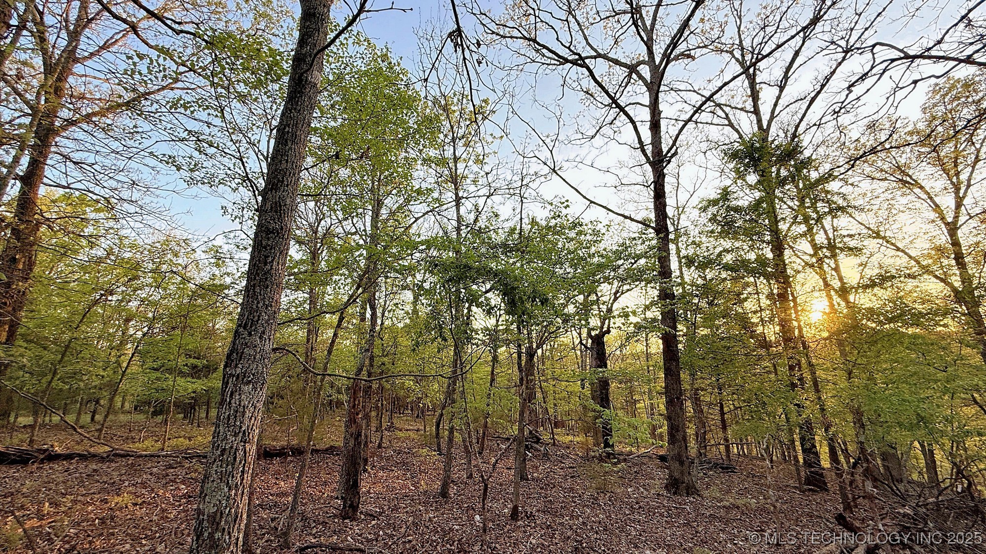 2345 Overlook Drive Property Photo 9