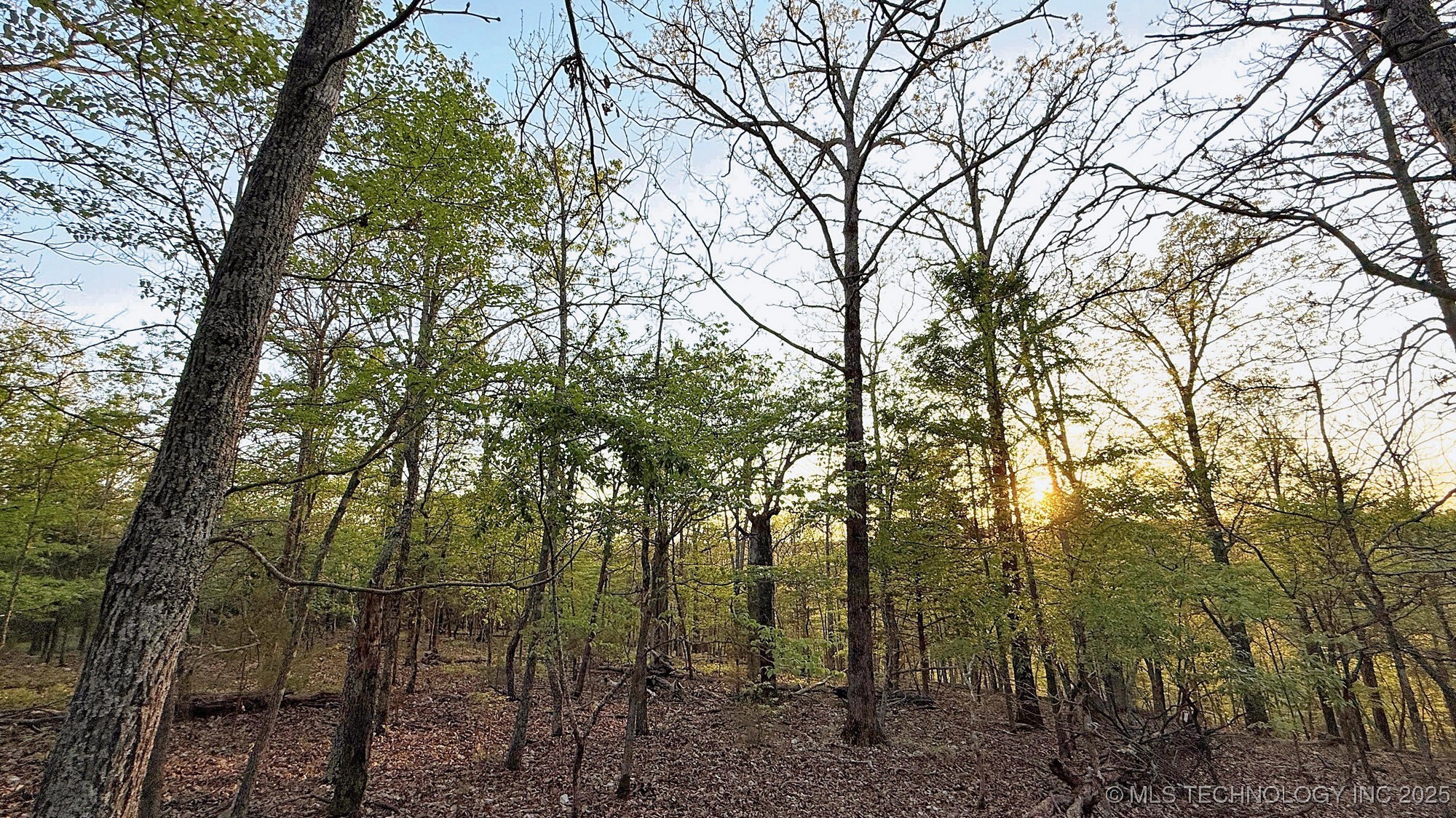 2345 Overlook Drive Property Photo 10