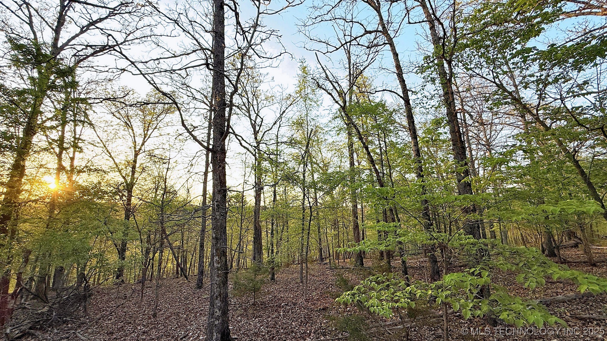 2345 Overlook Drive Property Photo 11