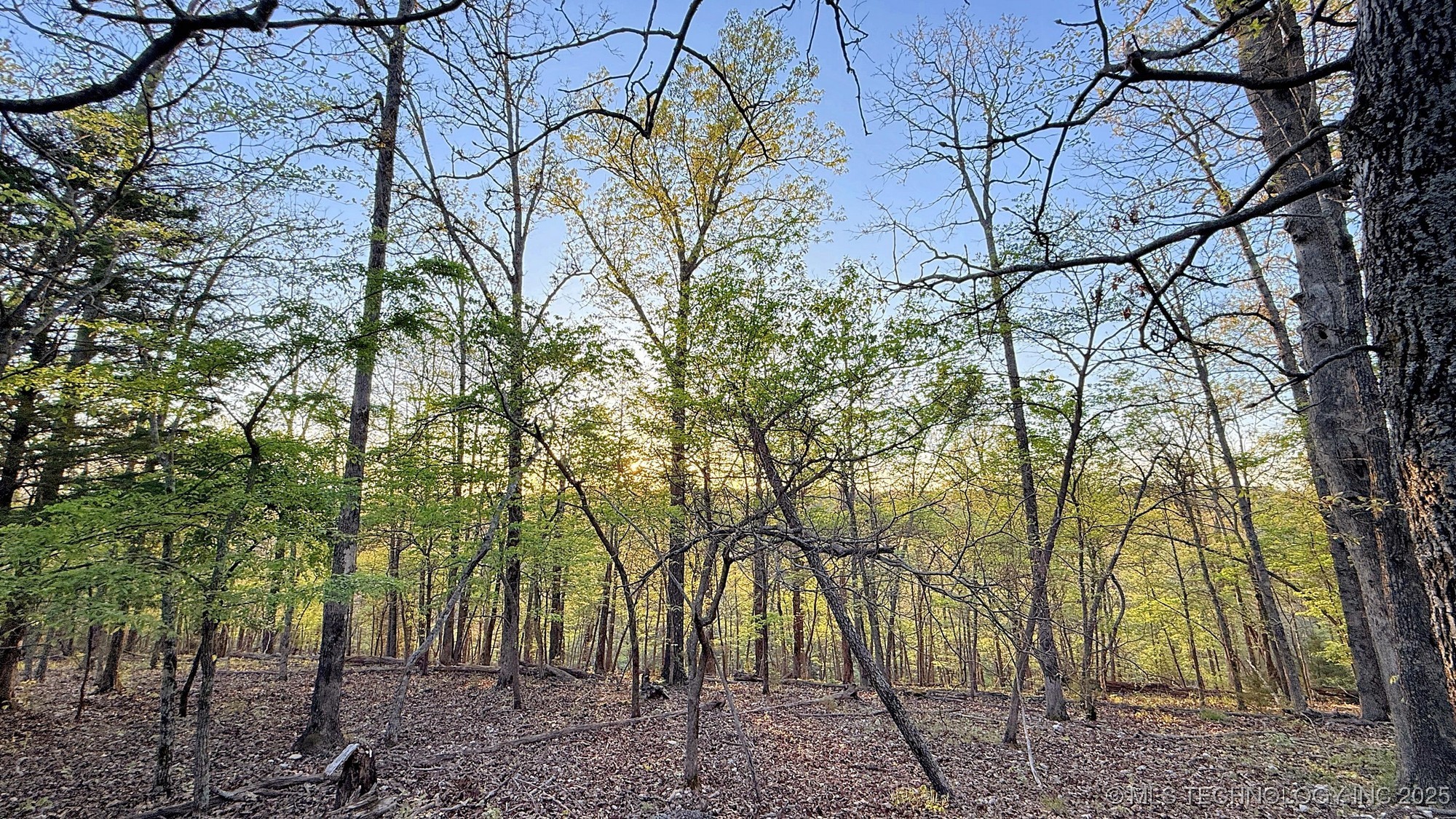 2345 Overlook Drive Property Photo 13