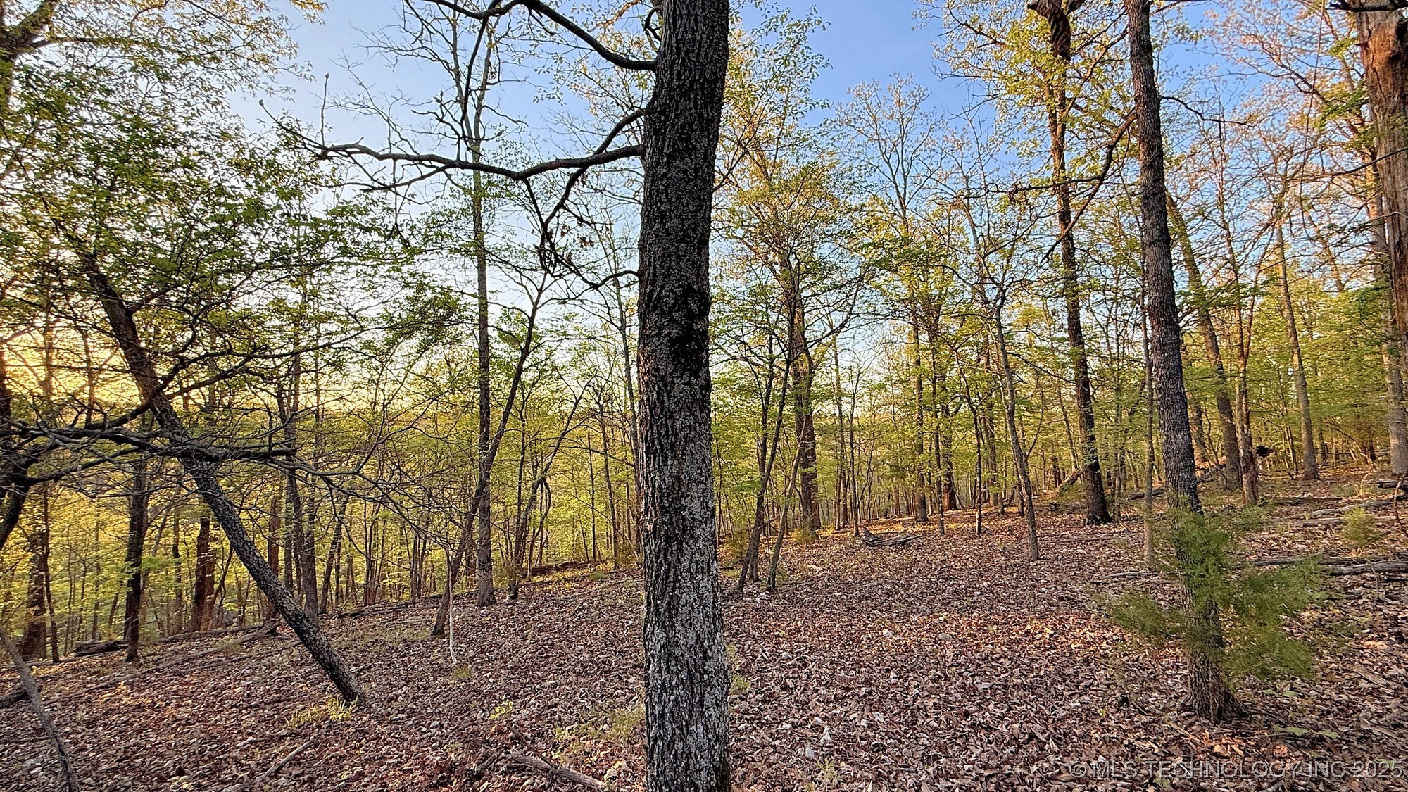 2345 Overlook Drive Property Photo 14