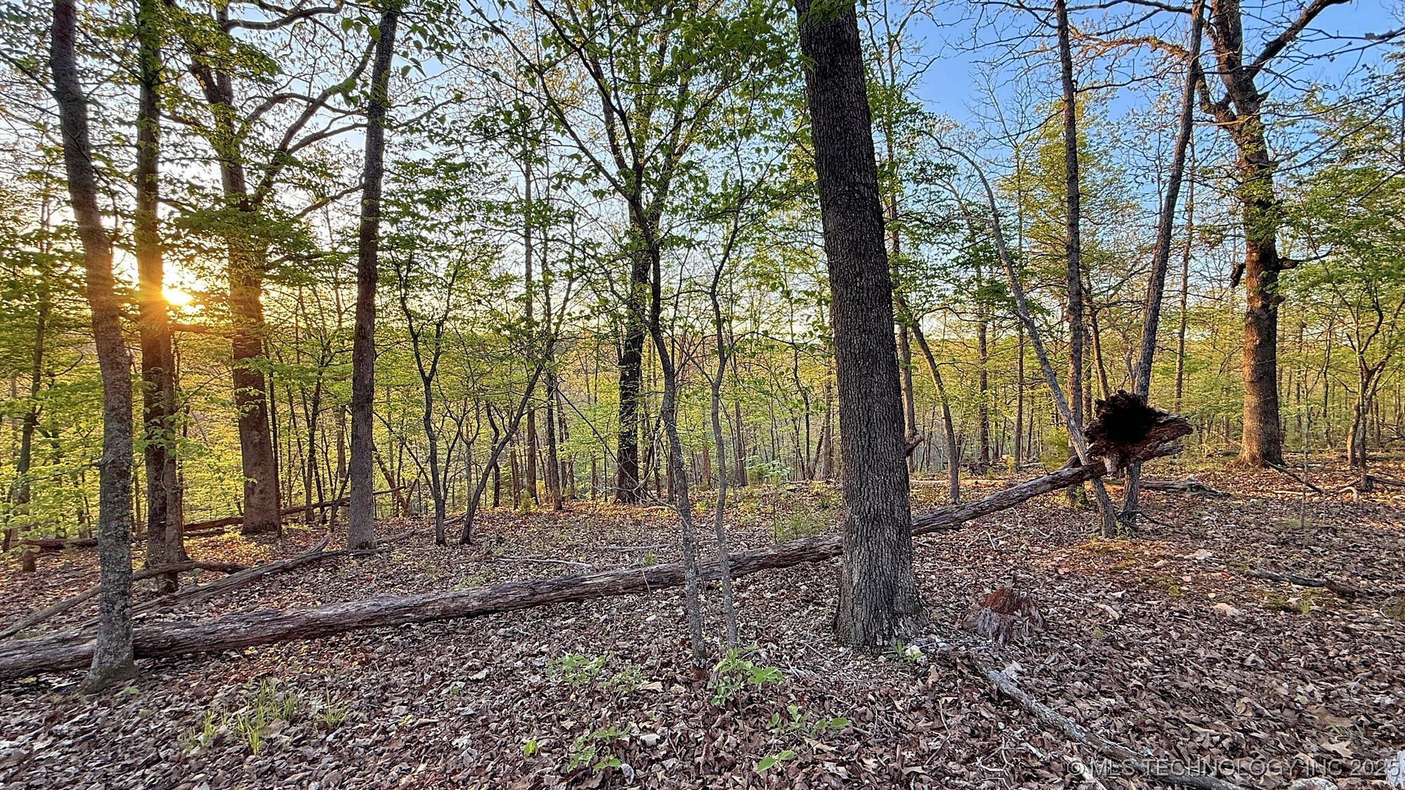 2345 Overlook Drive Property Photo 15