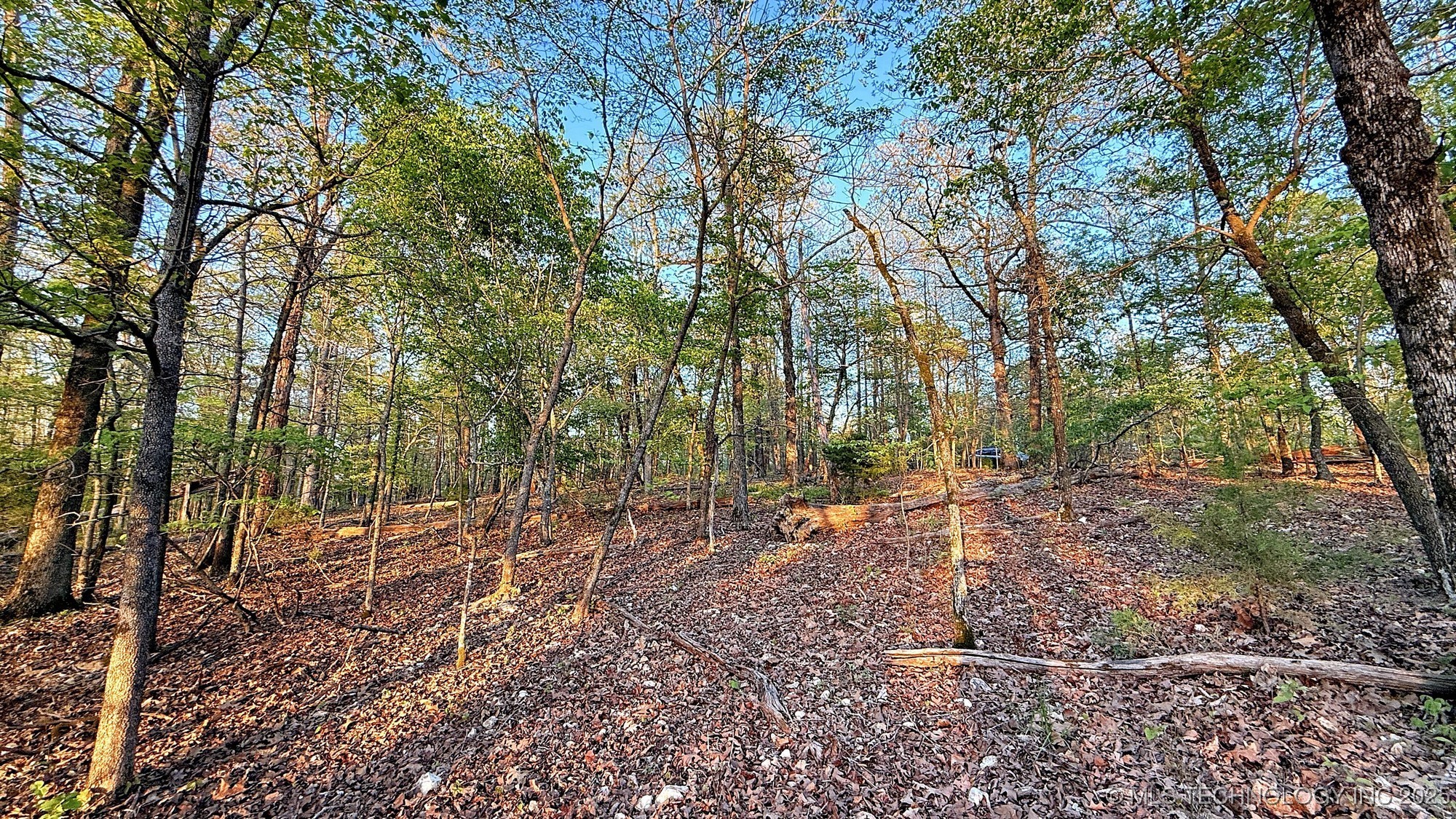 2345 Overlook Drive Property Photo 16