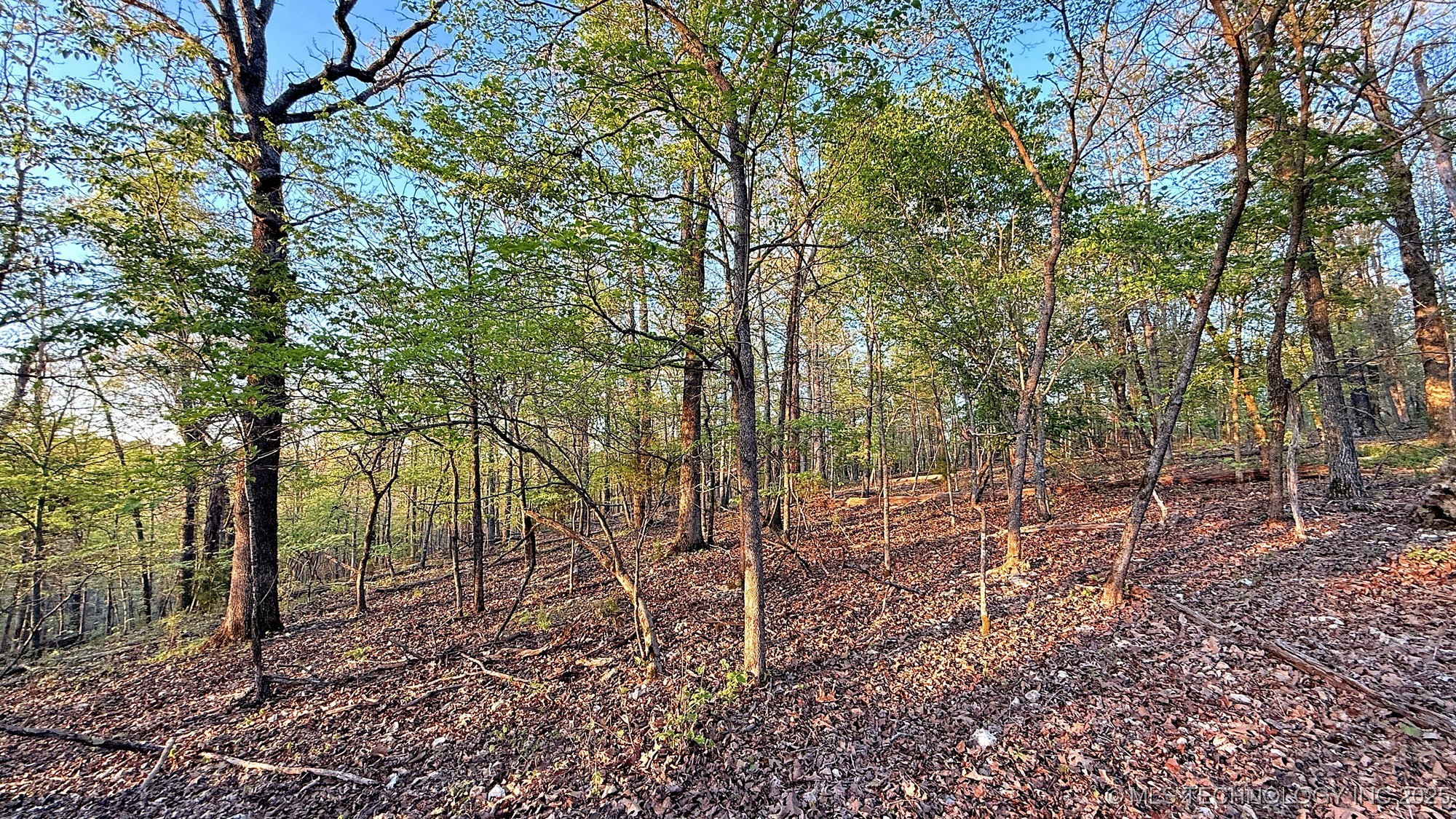 2345 Overlook Drive Property Photo 17