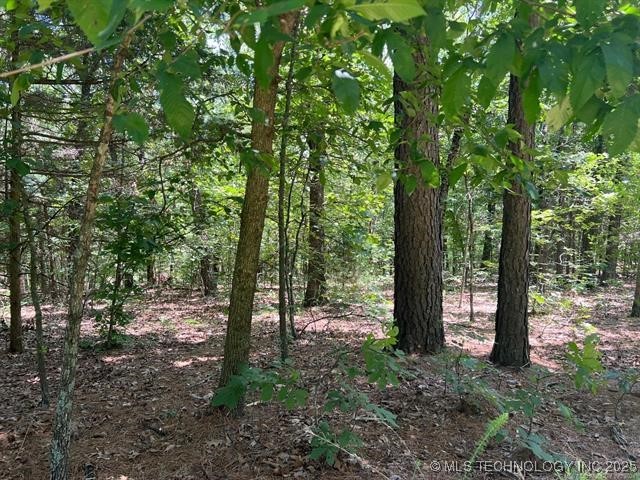 S 4409 Property Photo 3