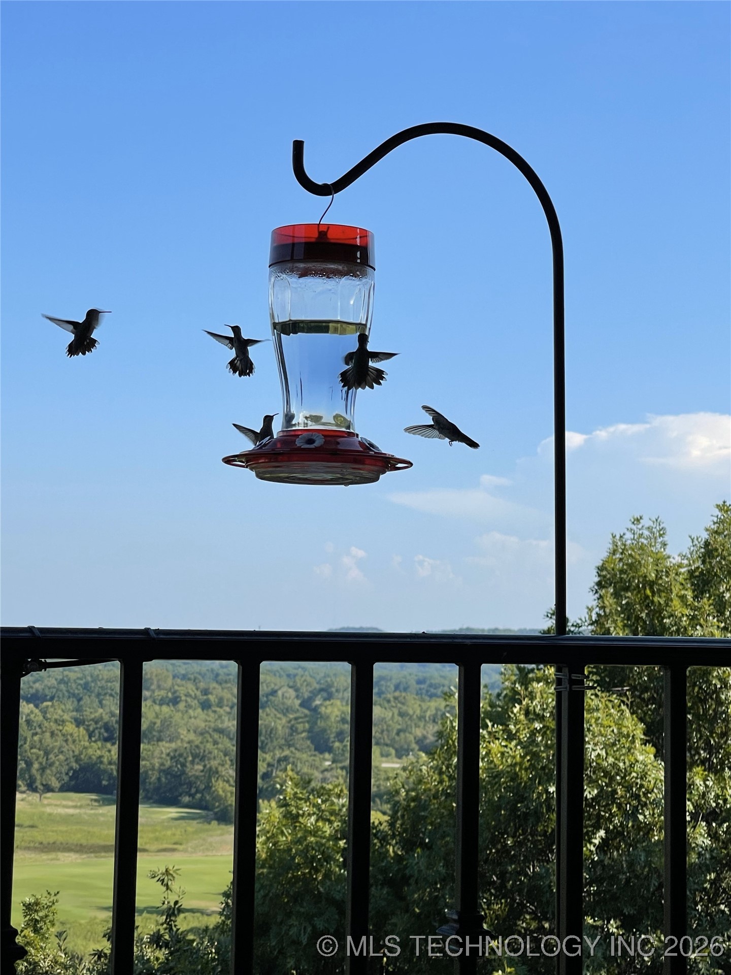 5879 N Eagle Summit Road Property Photo 95