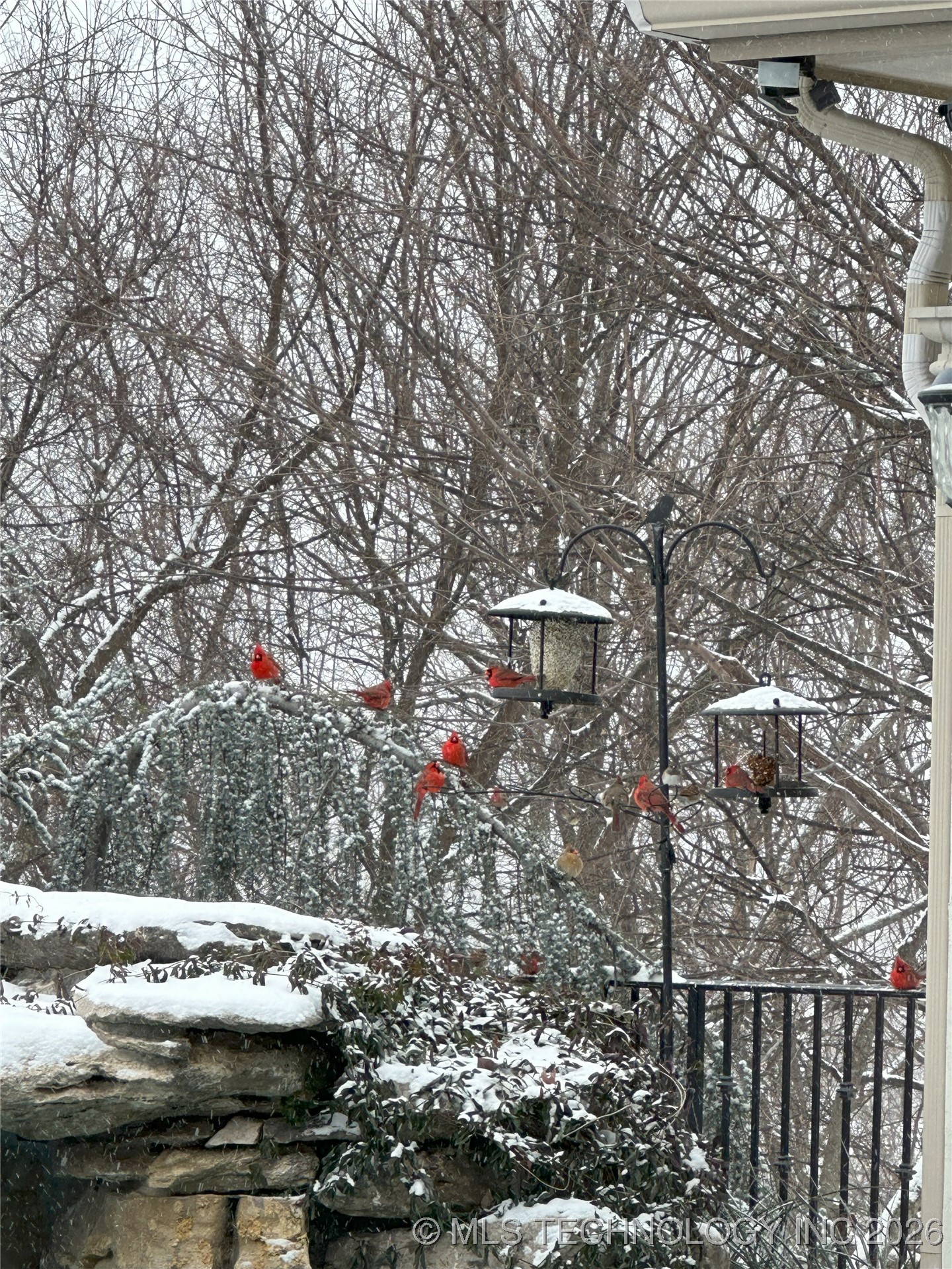 5879 N Eagle Summit Road Property Photo 96