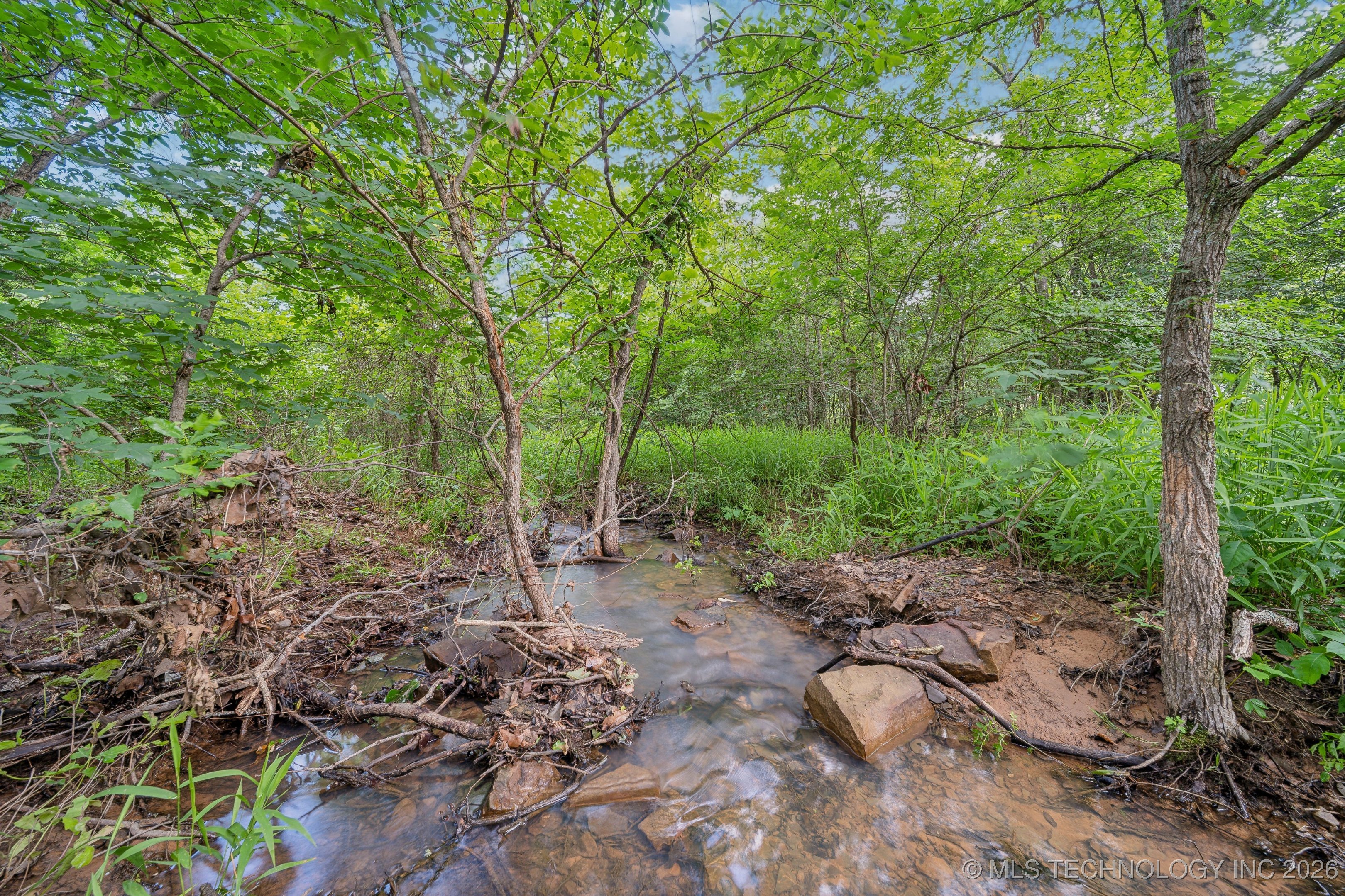 26685 Teal Circle Property Photo 34