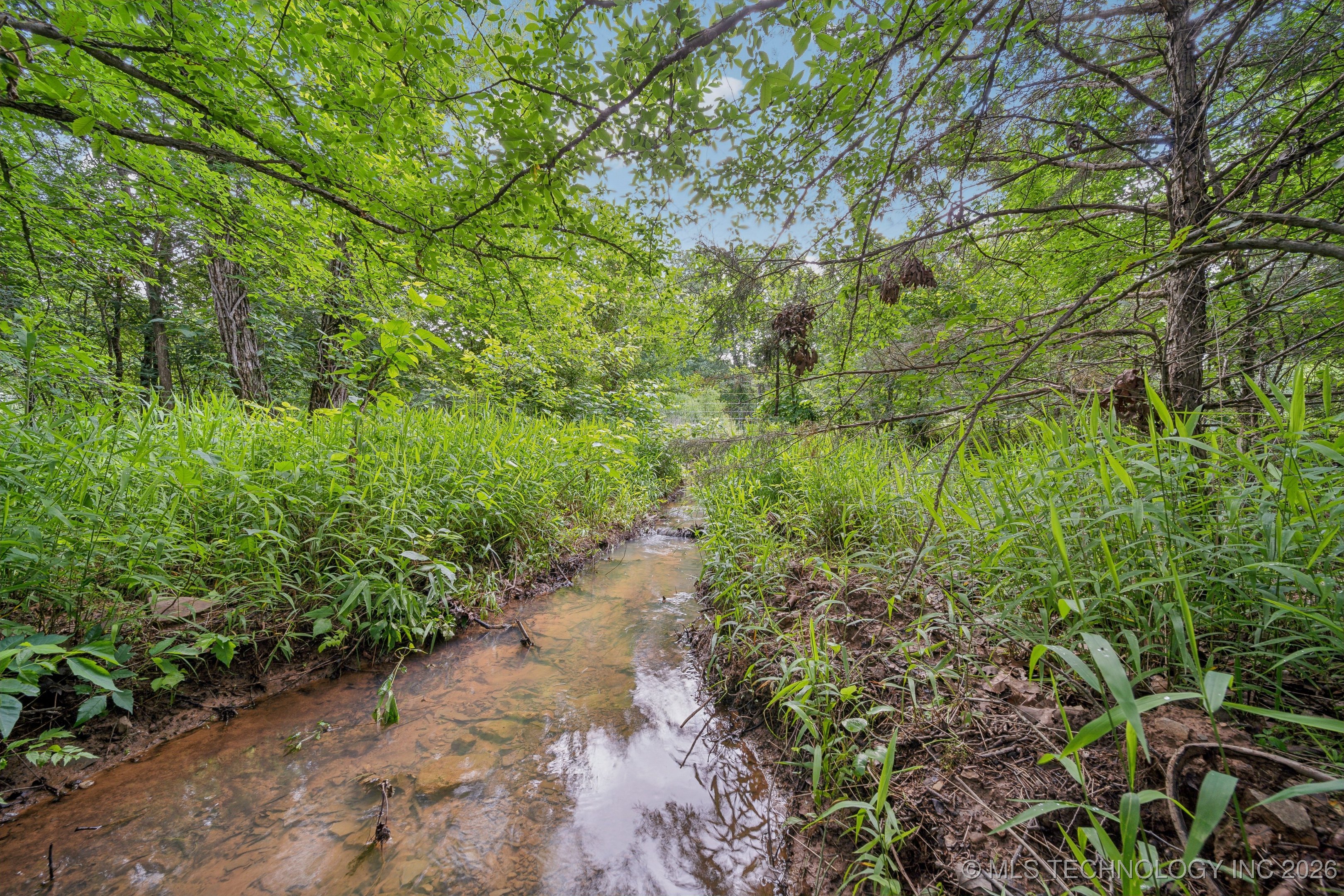 26685 Teal Circle Property Photo 35