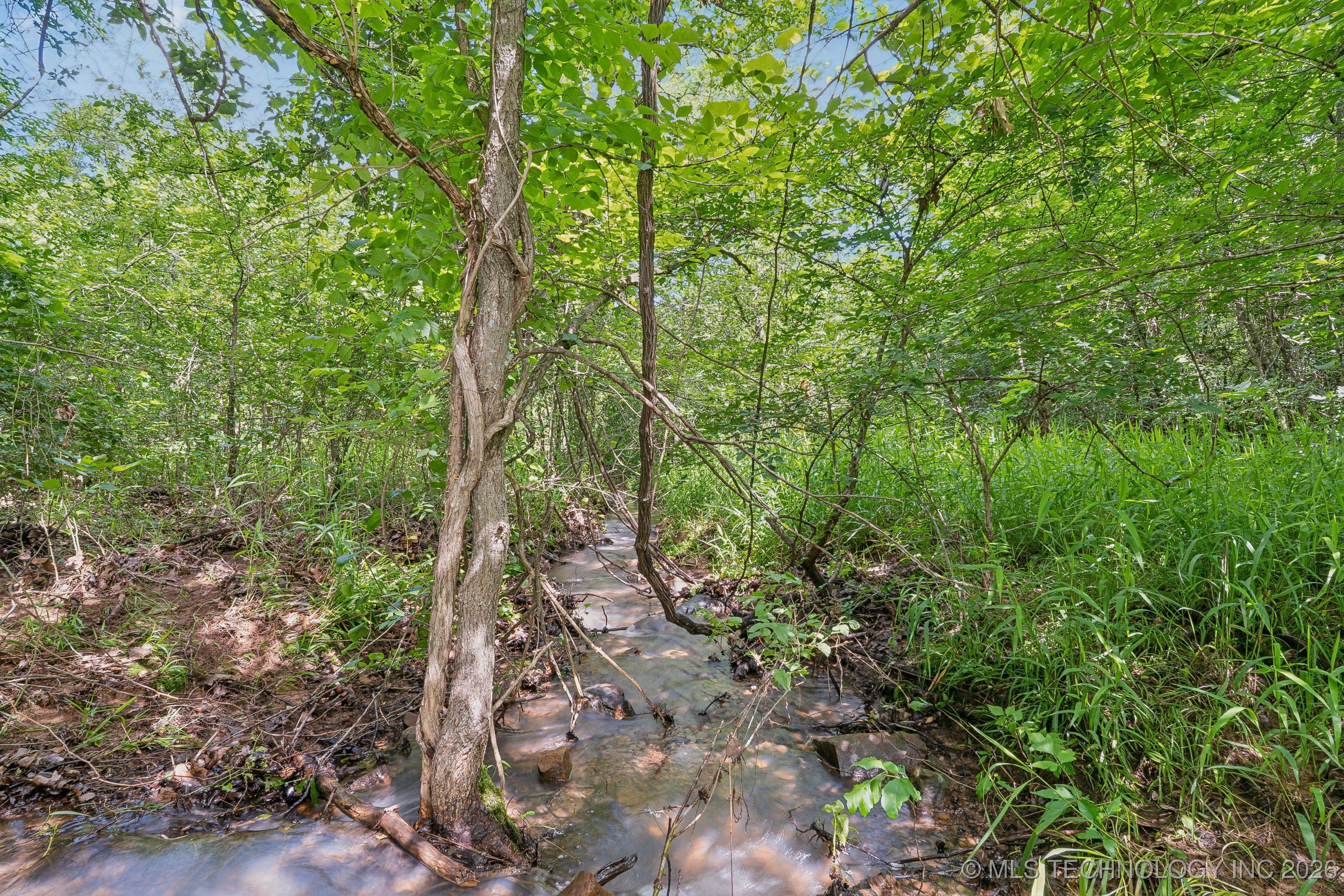 26685 Teal Circle Property Photo 36