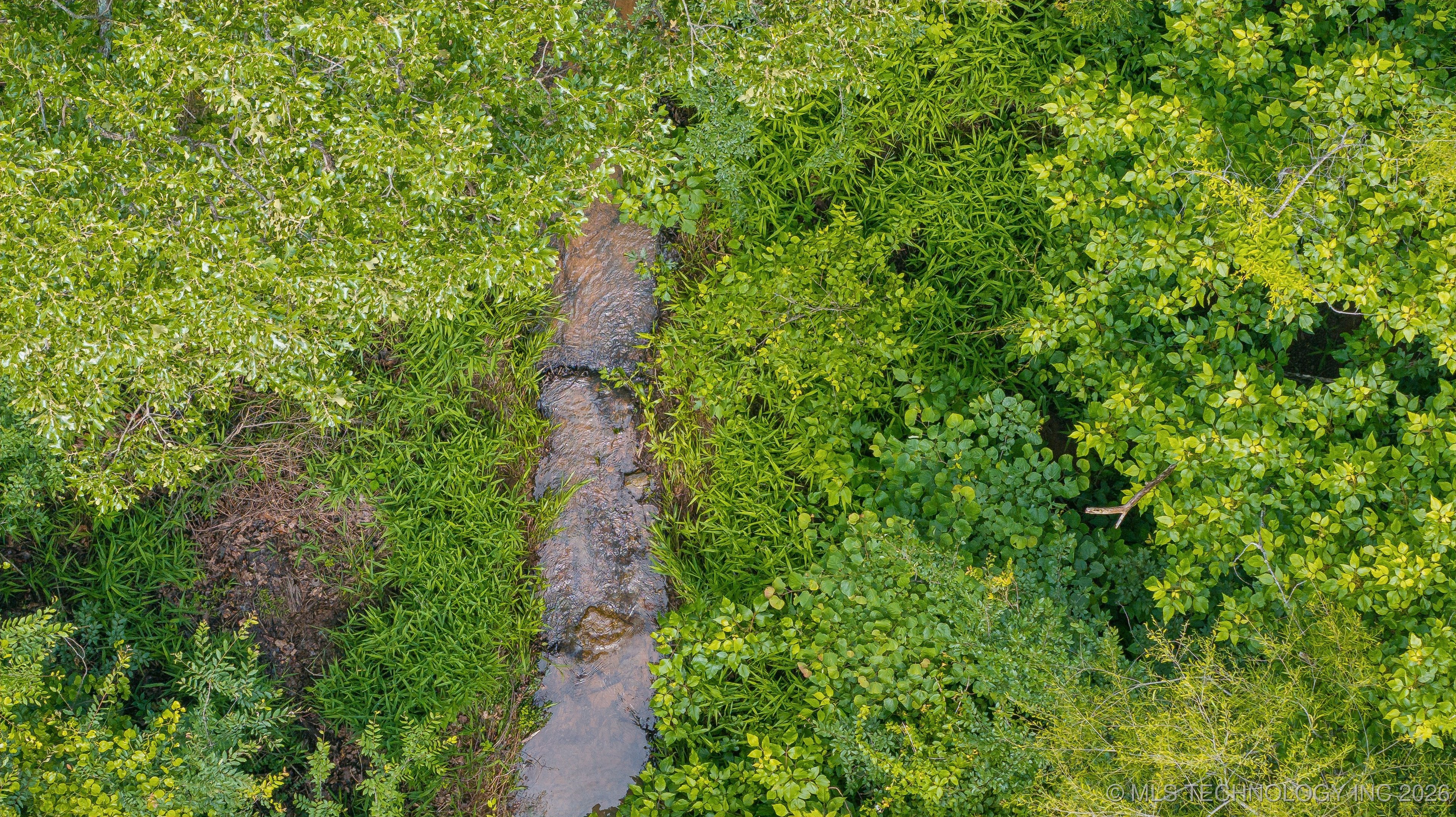 26685 Teal Circle Property Photo 37