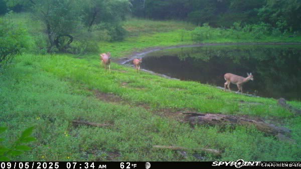 Arbeka Road Property Photo 2