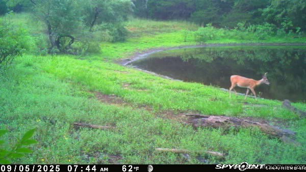 Arbeka Road Property Photo 3