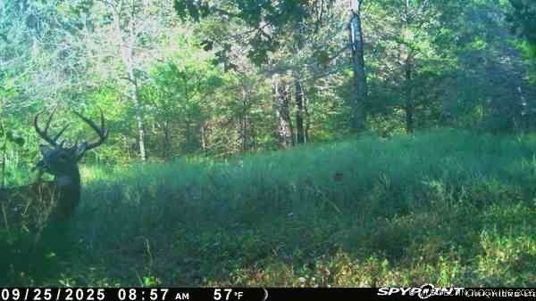 Arbeka Road Property Photo 4