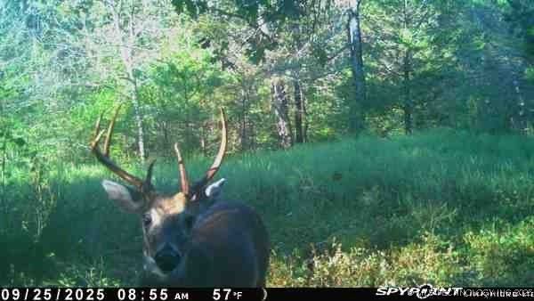 Arbeka Road Property Photo 5