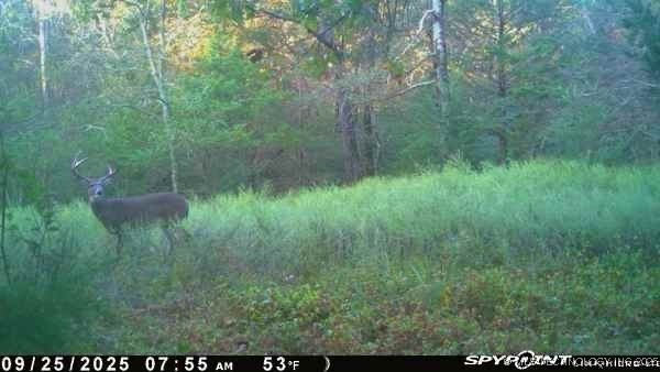 Arbeka Road Property Photo 6