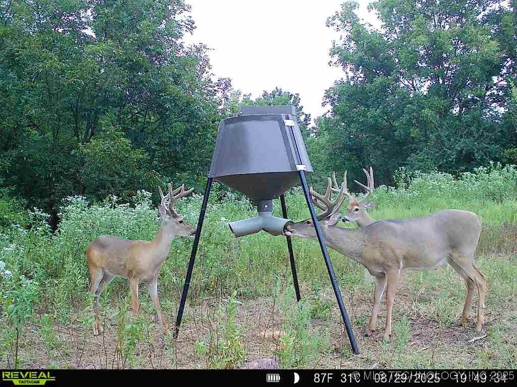 11 Se Lenapah Street Property Photo 8