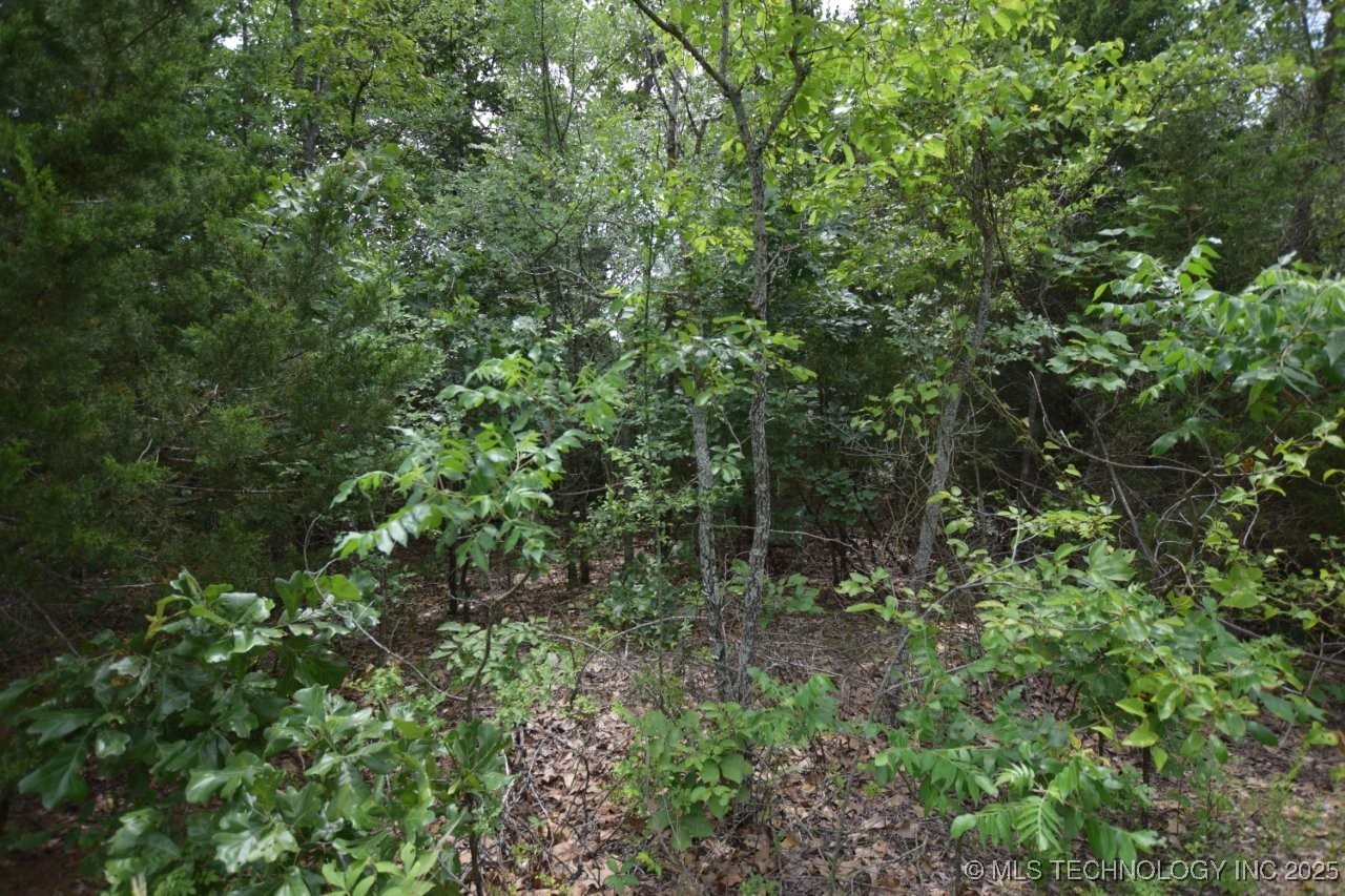 3 E 984 Property Photo 1