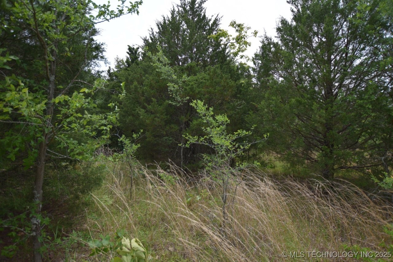 3 E 984 Property Photo 2