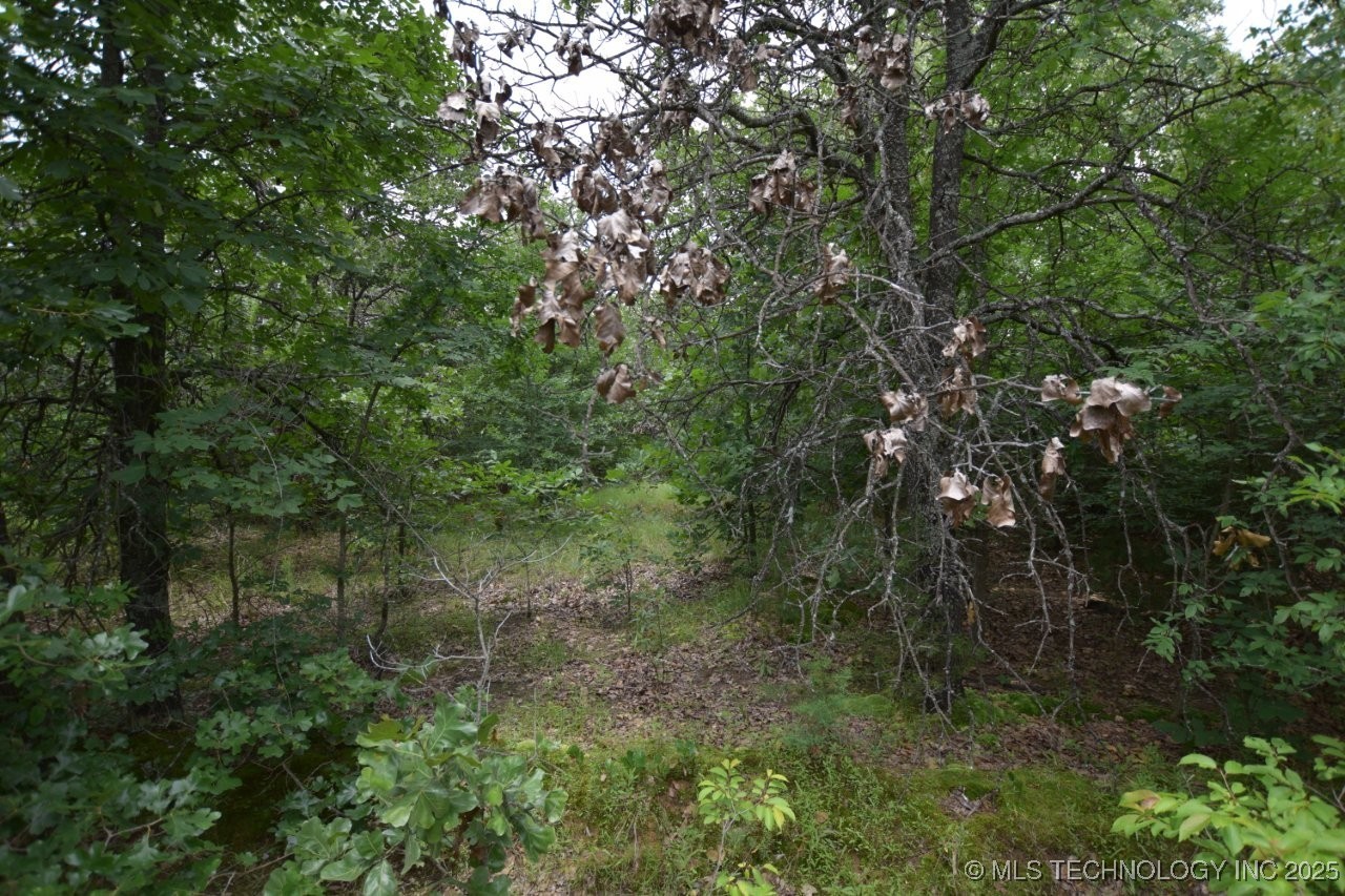 4 Darcy Drive Property Photo 1