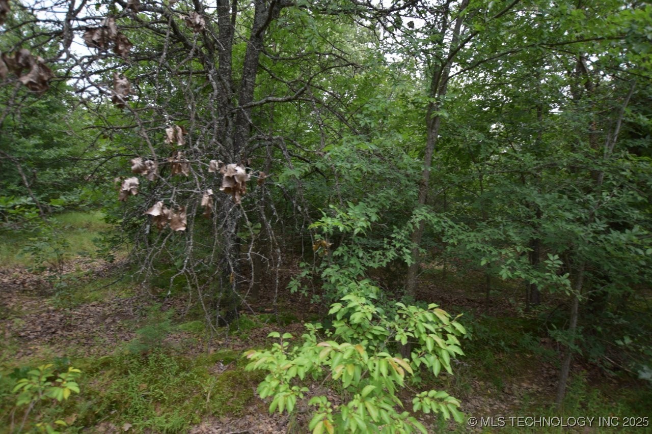 4 Darcy Drive Property Photo 2